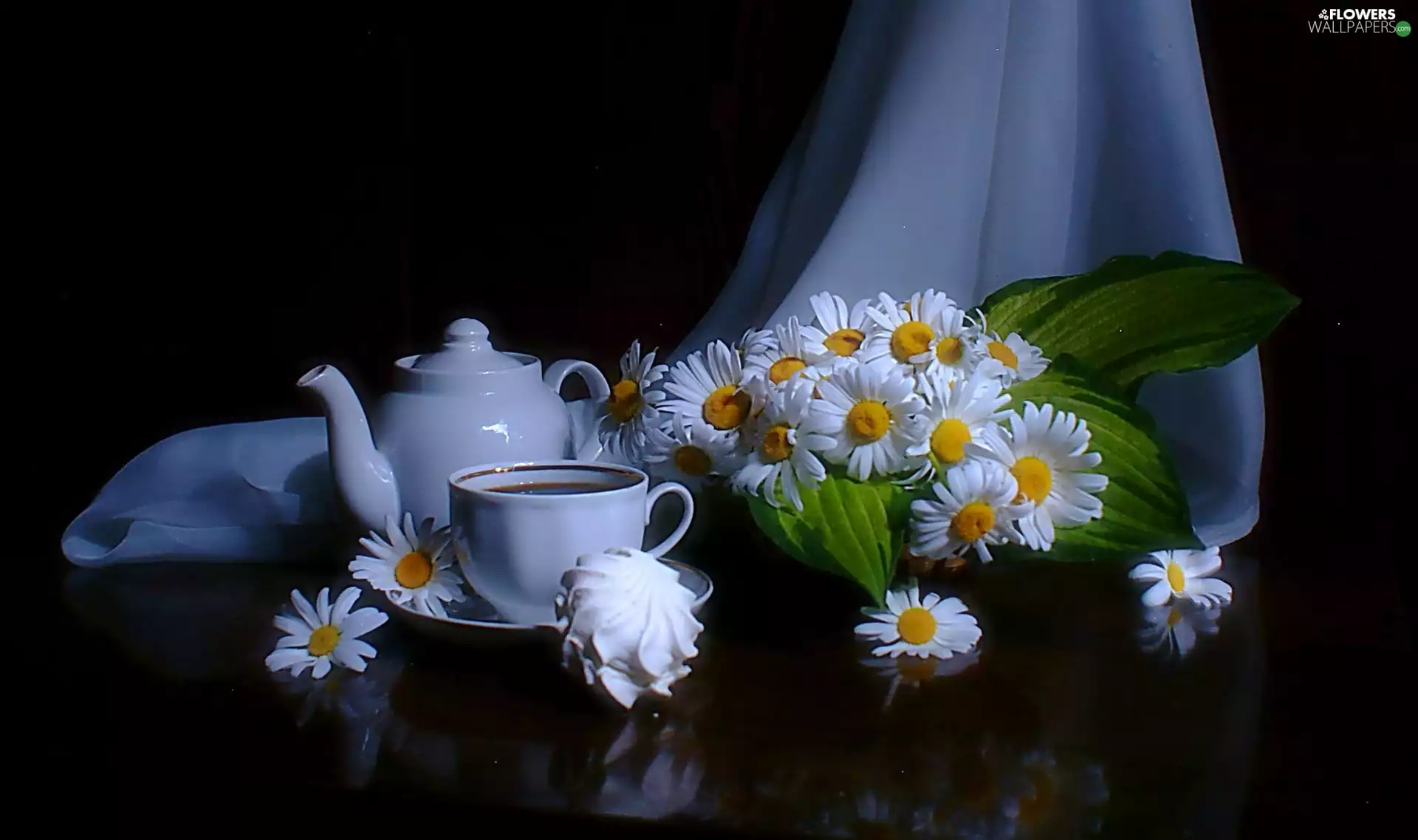 tea, Flowers, daisy