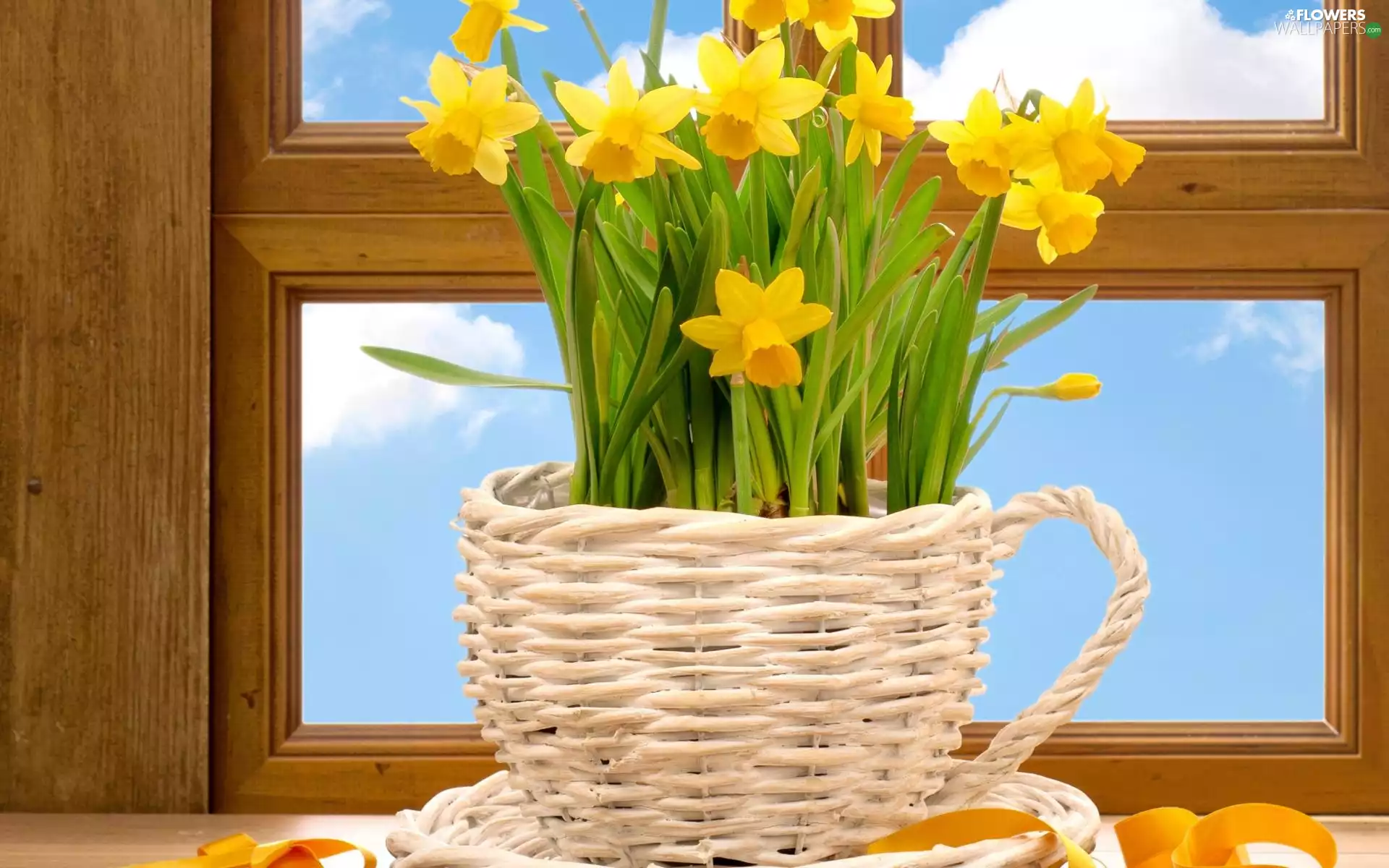 Wicker, Teacup, Daffodils, ##, Window