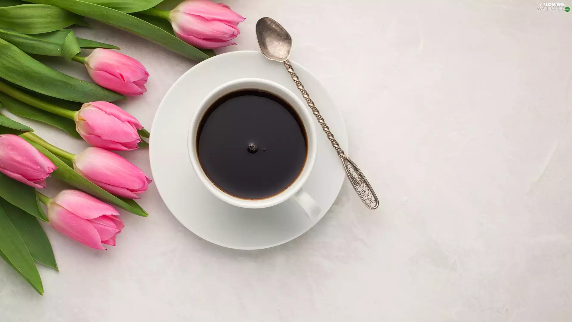 coffee, teaspoon, Tulips, cup, Pink