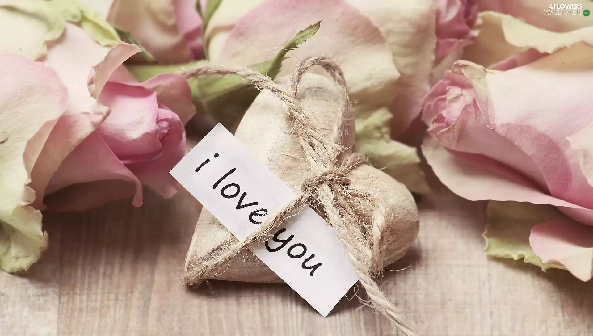 twine, roses, confession, Heart teddybear, Flowers, text, love