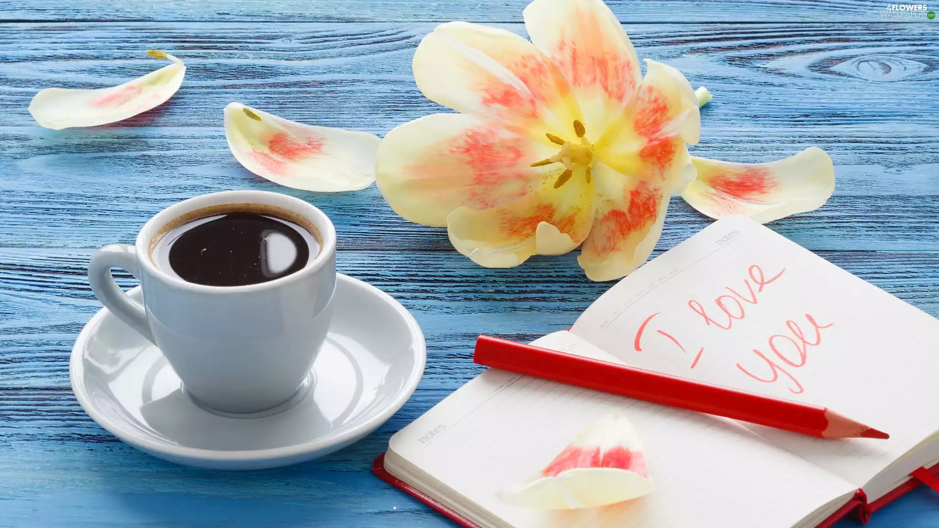 tulip, coffee, red hot, note-book, text, boarding, Love things, developed, cup, I love you, chalk