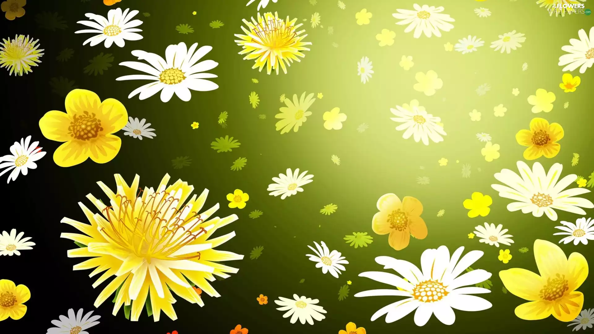 glamour, texture, dandelions, daisies, Flowers