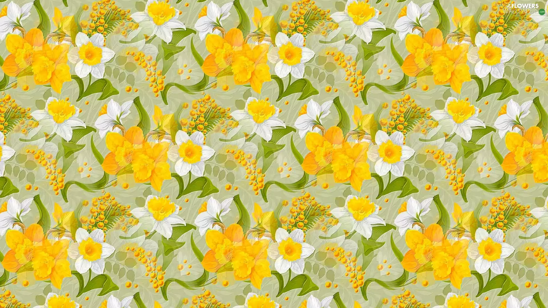 narcissus, texture