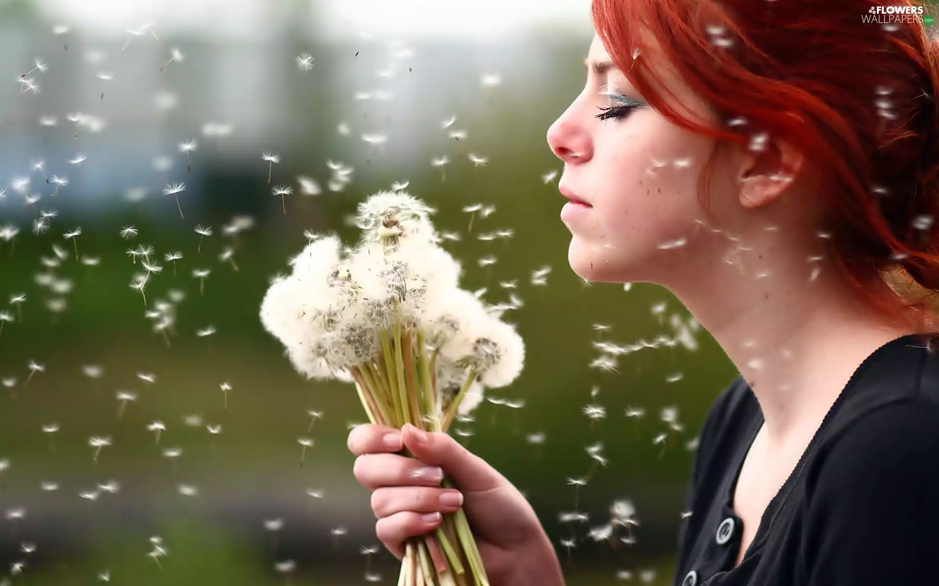 bouquet, redhead, sow-thistle, dandelions, flowers, Women