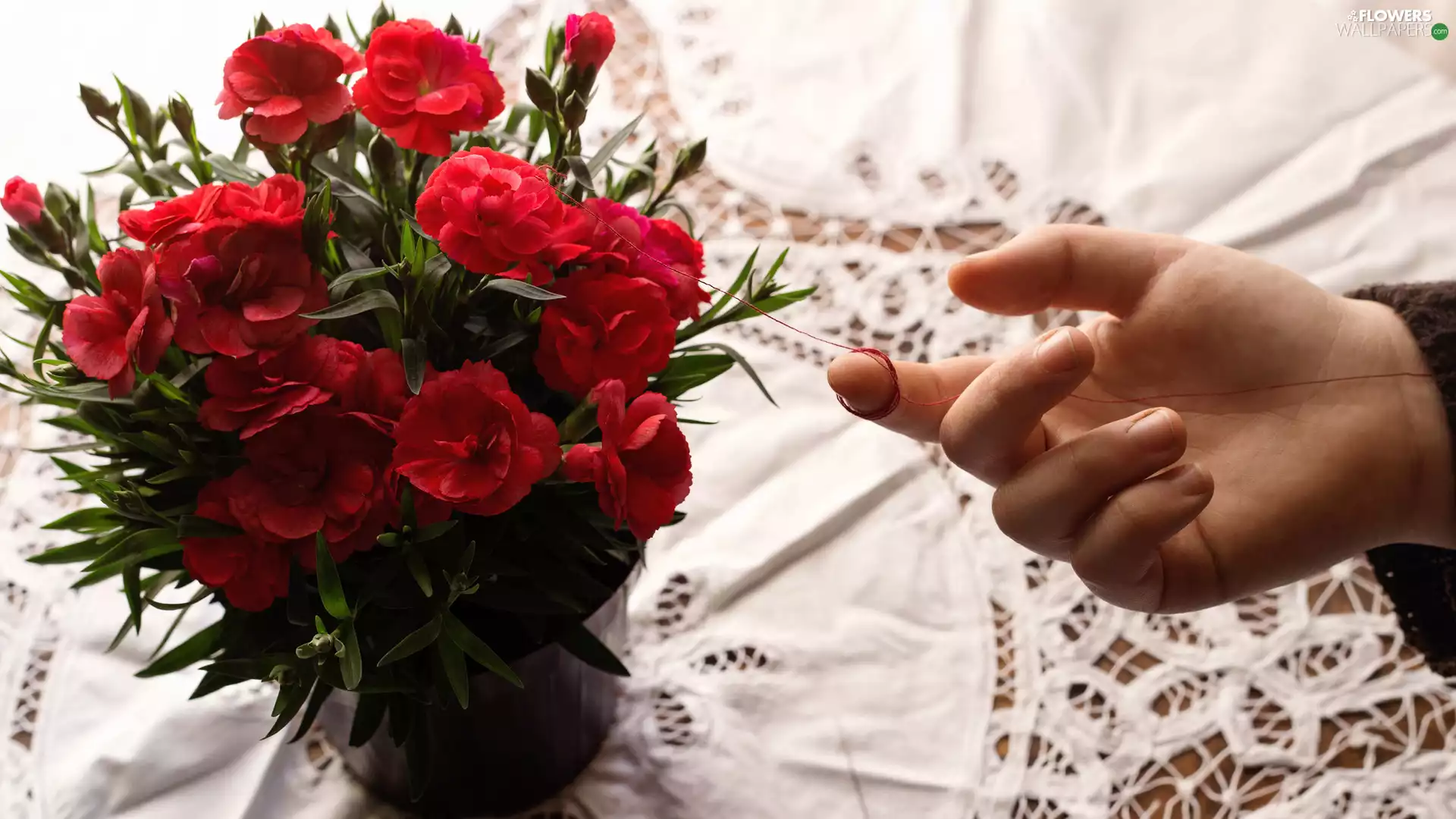 hand, thread, Flowers, cloves, Red