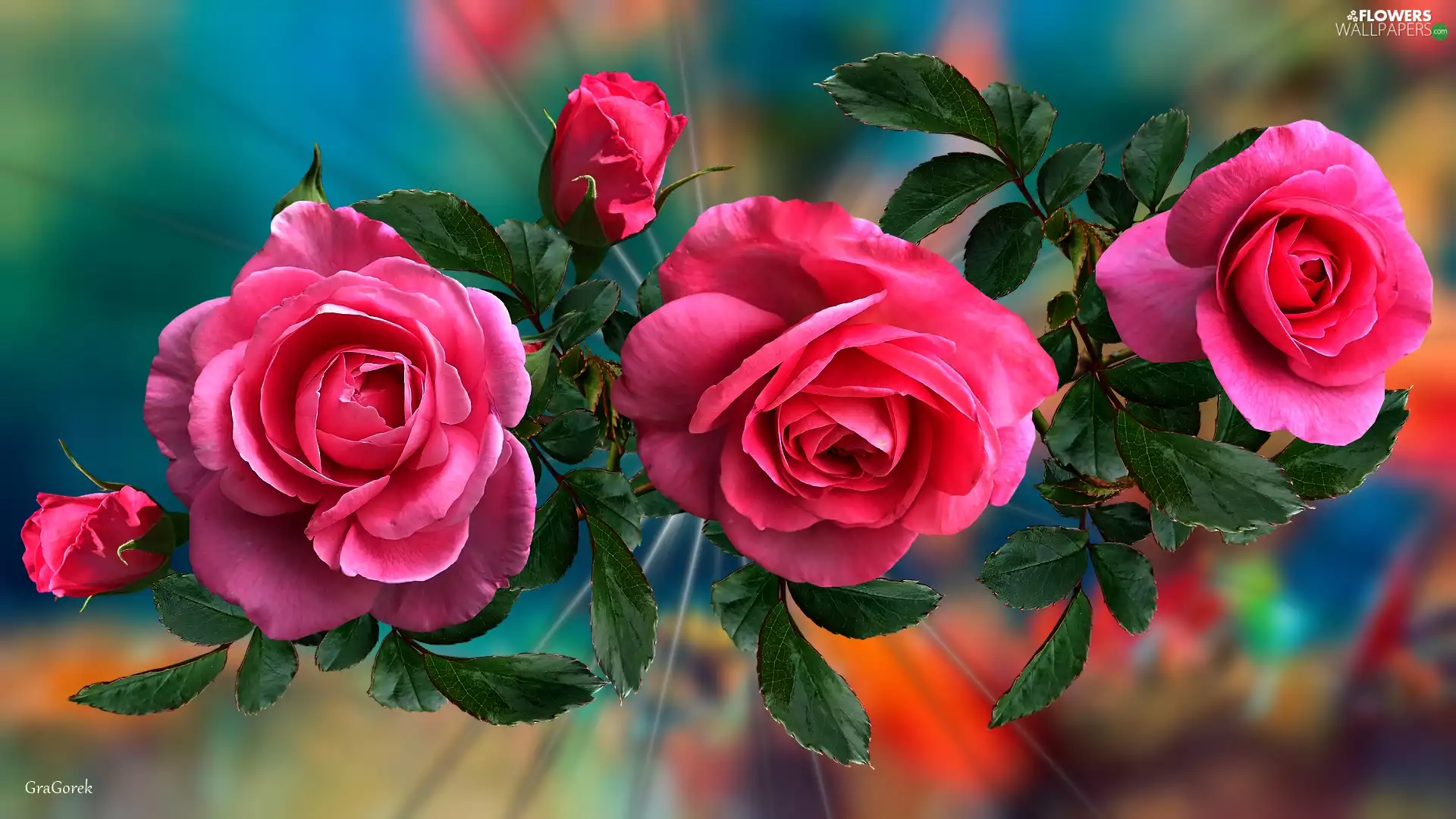 Leaf, 2D Graphics, Three, roses, Flowers