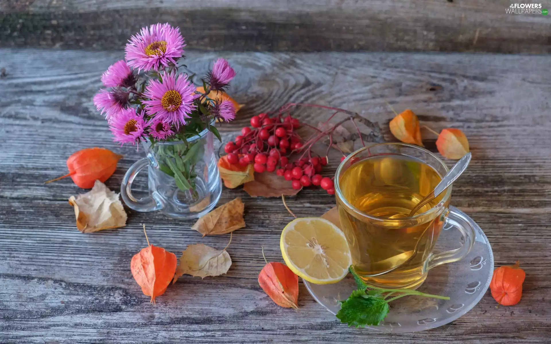 Astra, Tomatillo, cup, Flowers, tea