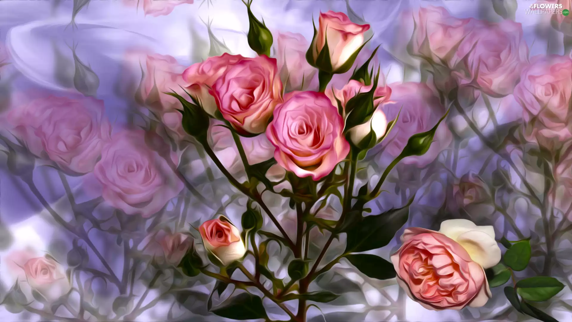 roses, graphics, Two tone