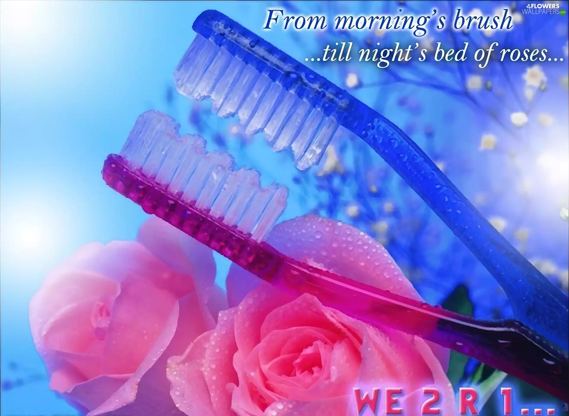 Two, roses, love, Toothbrushes