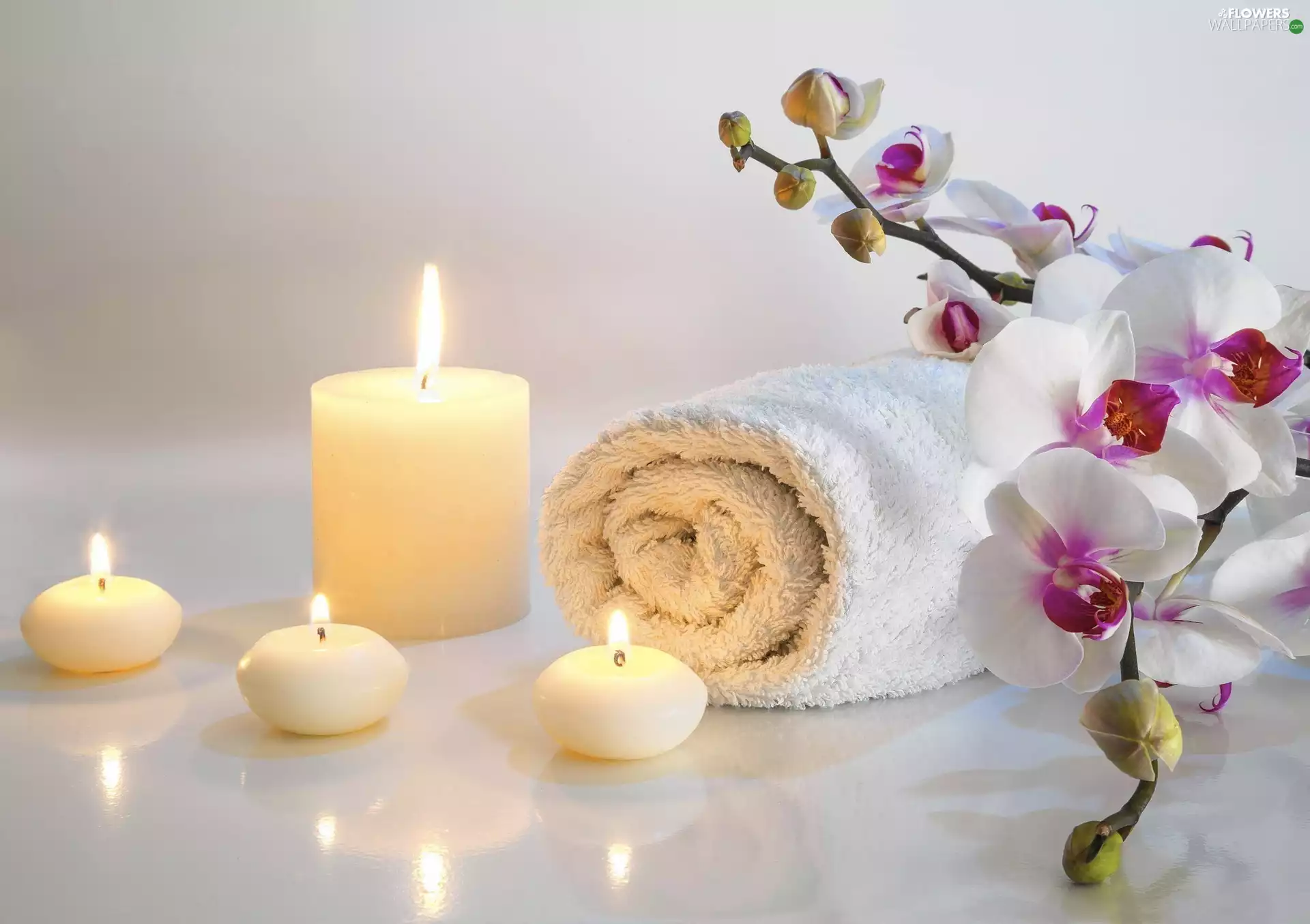 Candles, composition, orchids, Towel, Flowers, Spa