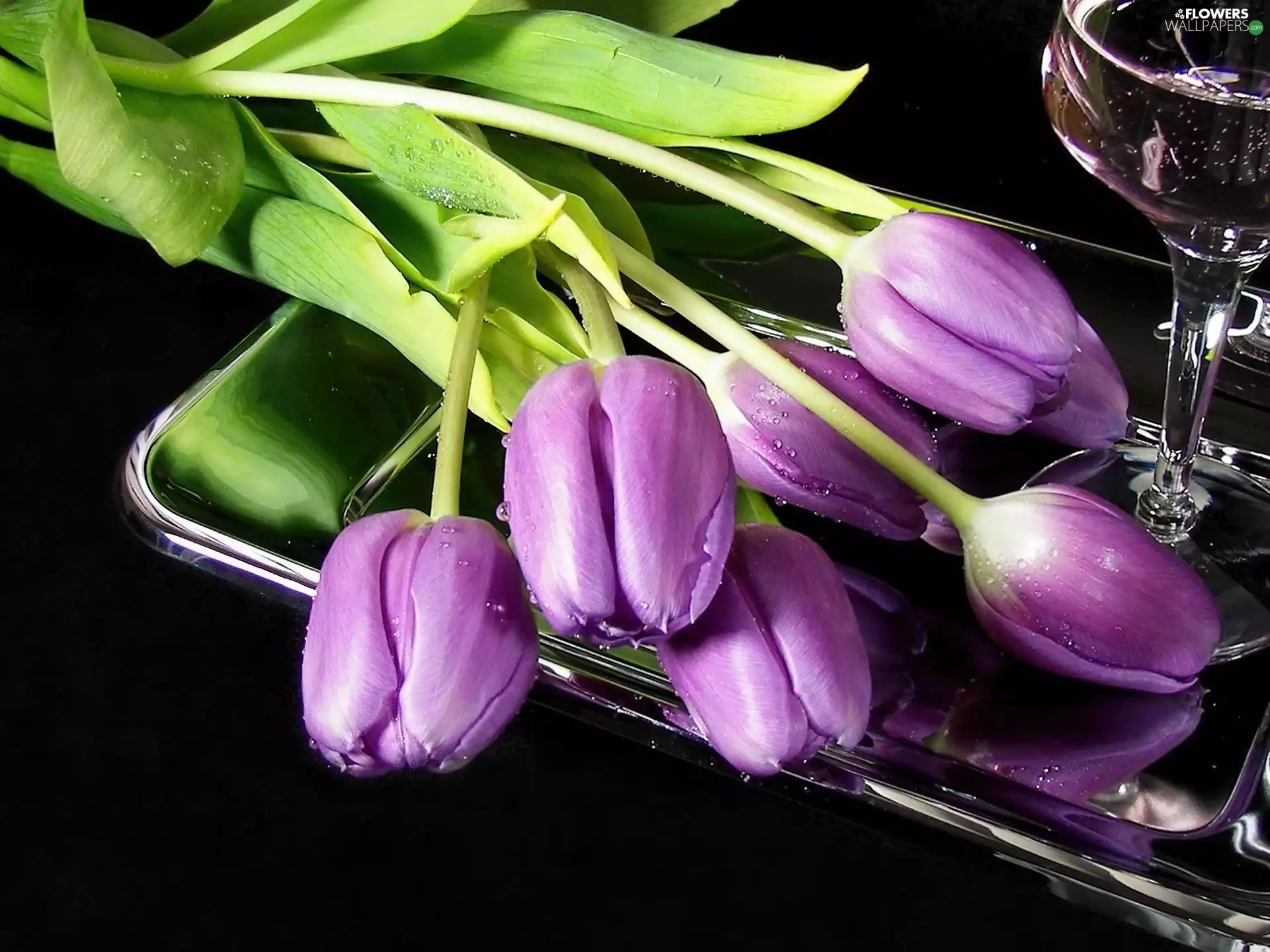 Tray, glass, Tulips, Toyota Silver, purple
