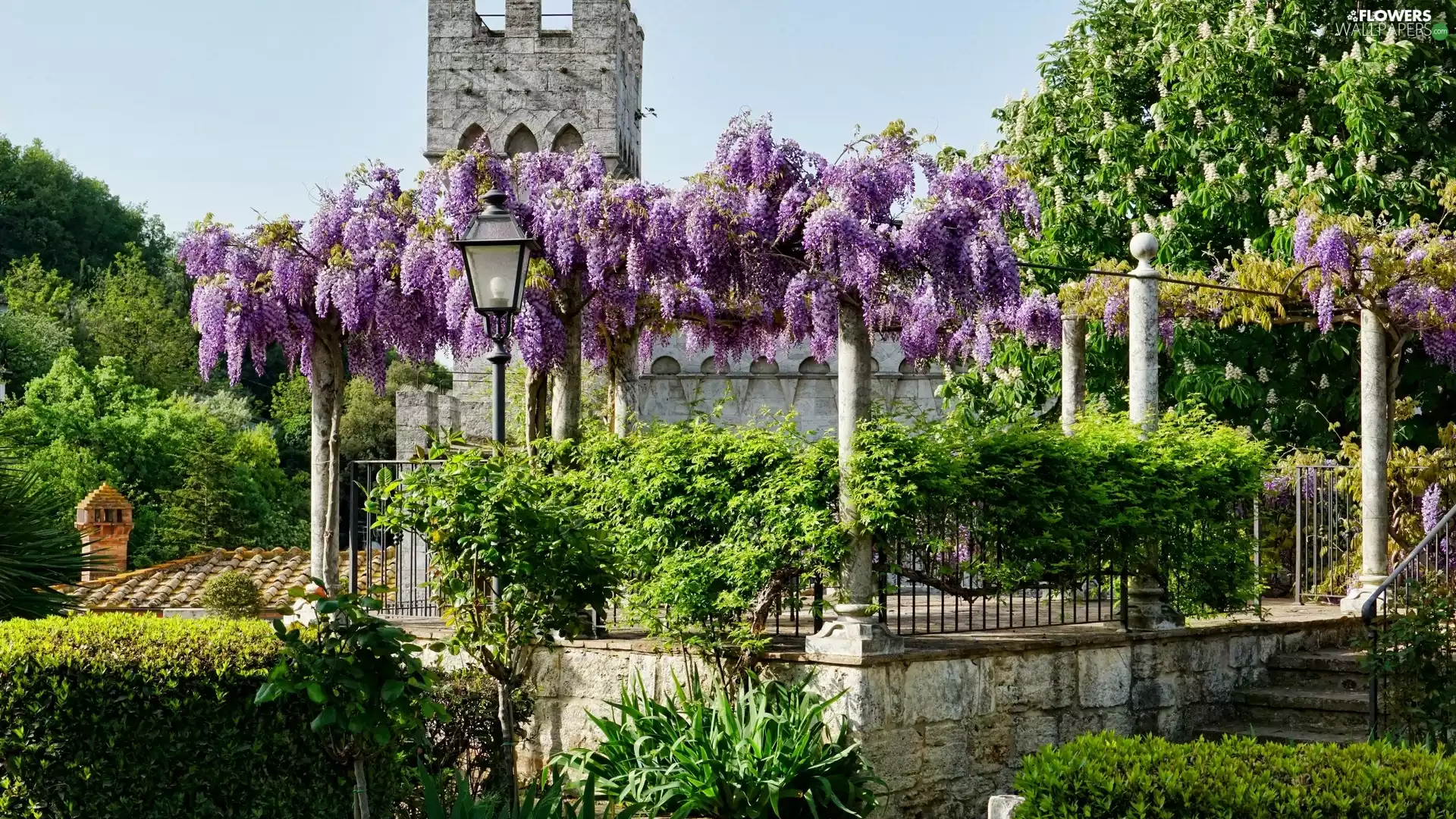 purple, Flowers, Lighthouse, wistaria, viewes, tower, Garden, trees