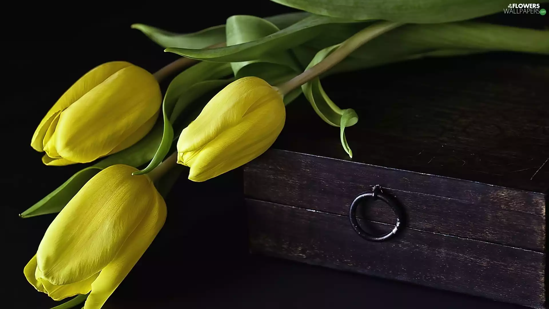 Yellow, wooden, trunk, Tulips