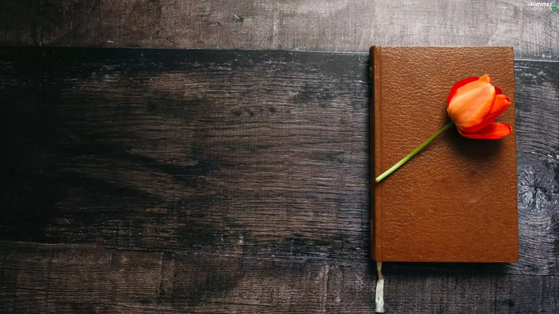 Book, wooden, Table, tulip