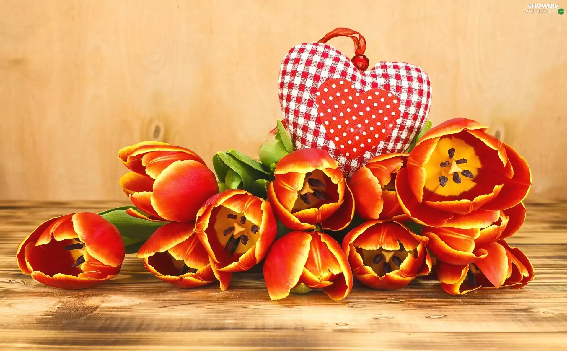 Heart, Love things, tulip, Flowers, Tulips