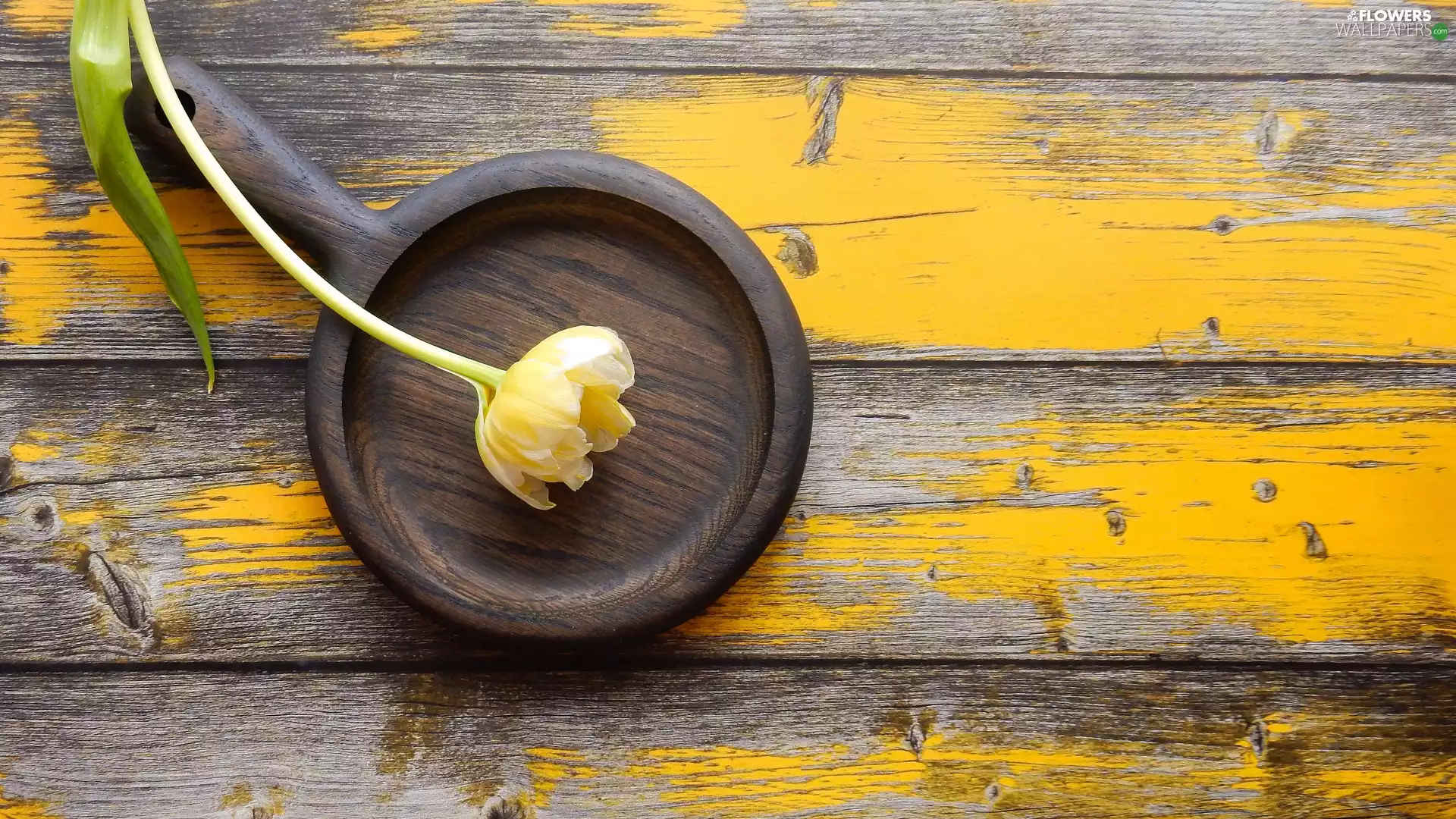 dish, boarding, Yellow, tulip, Colourfull Flowers, wood