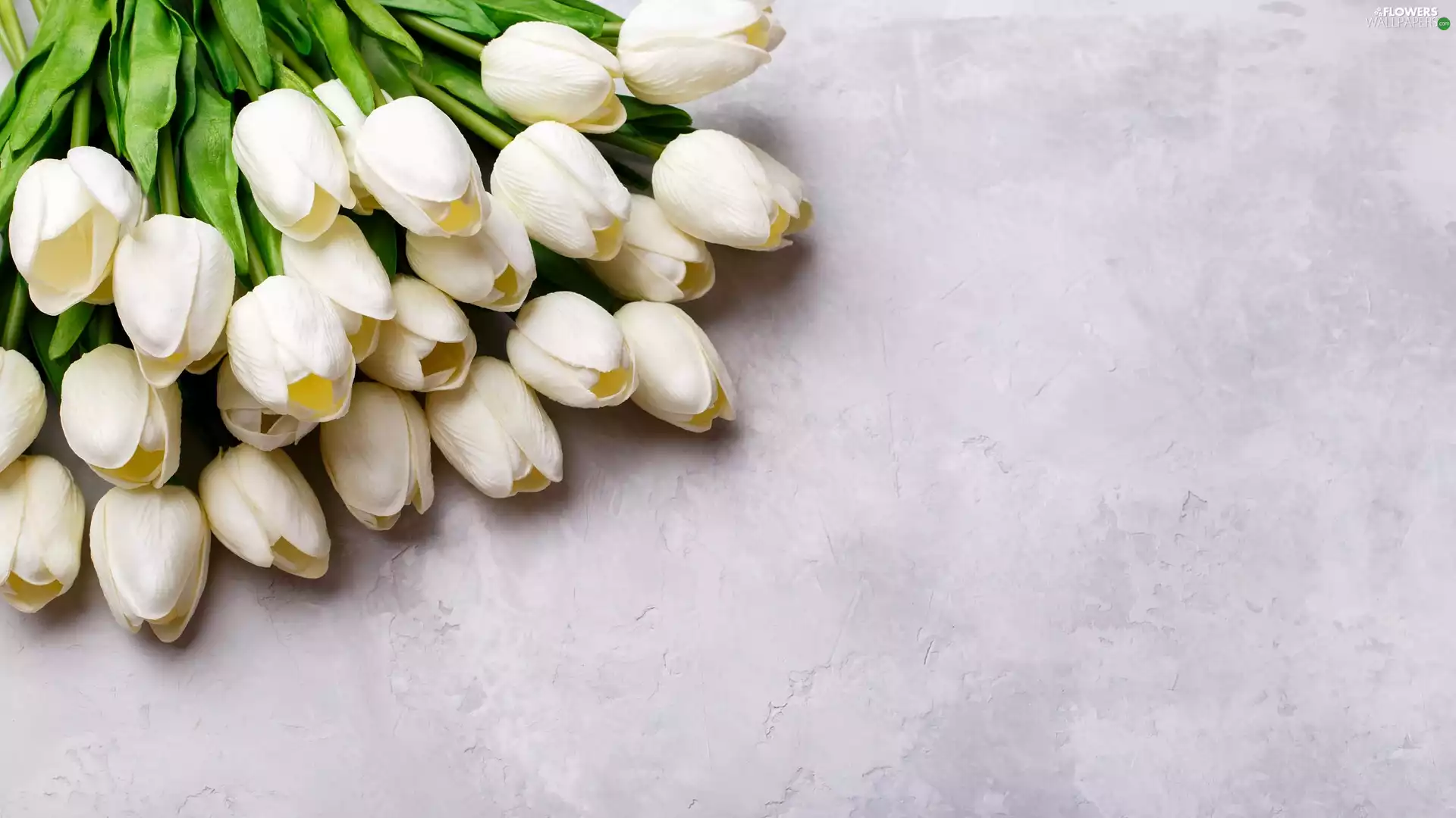 Tulips, White, Artificial