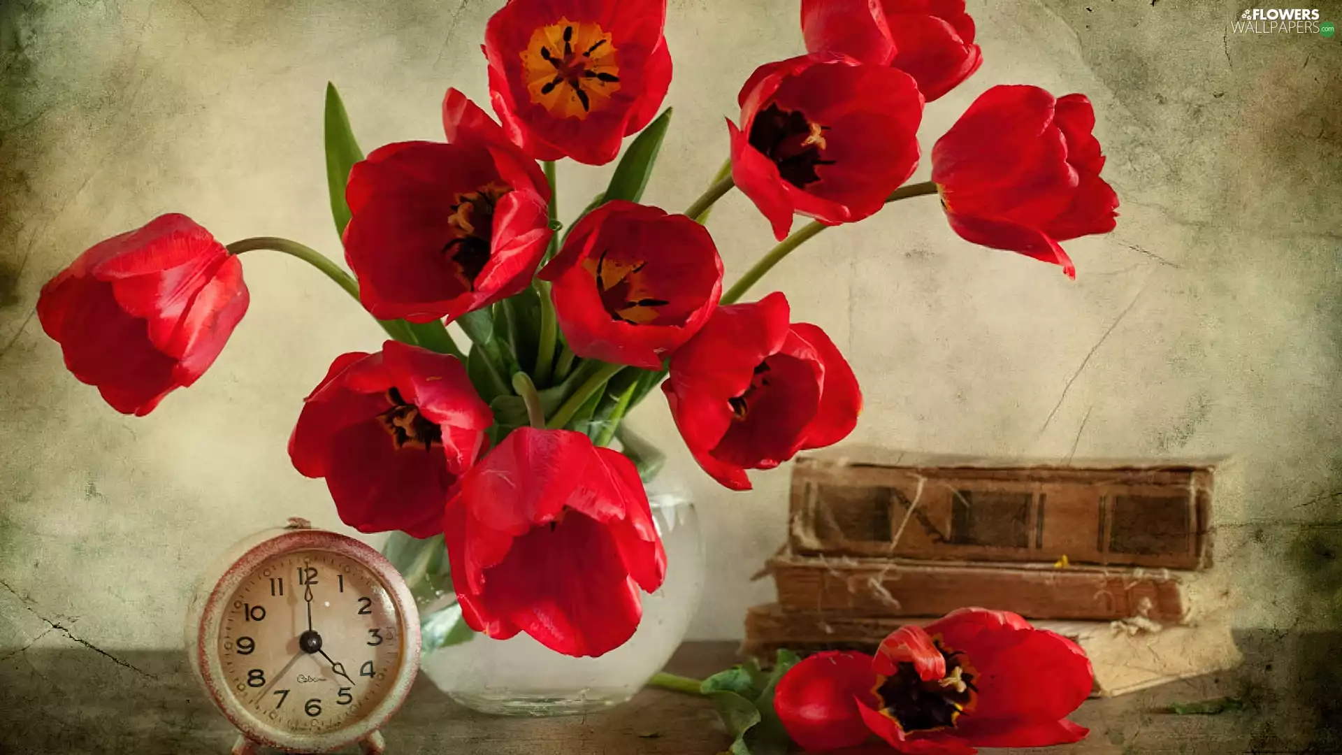 Tulips, Watch, Books