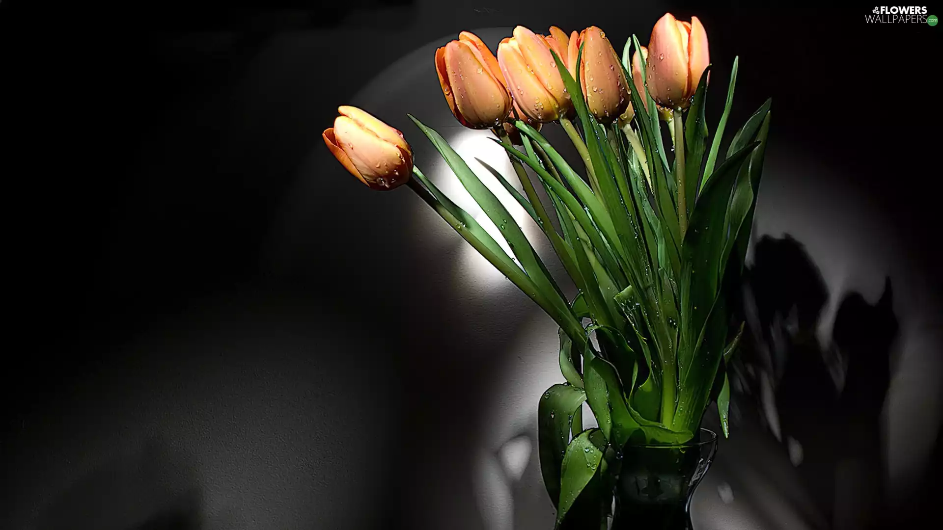 bouquet, tulips