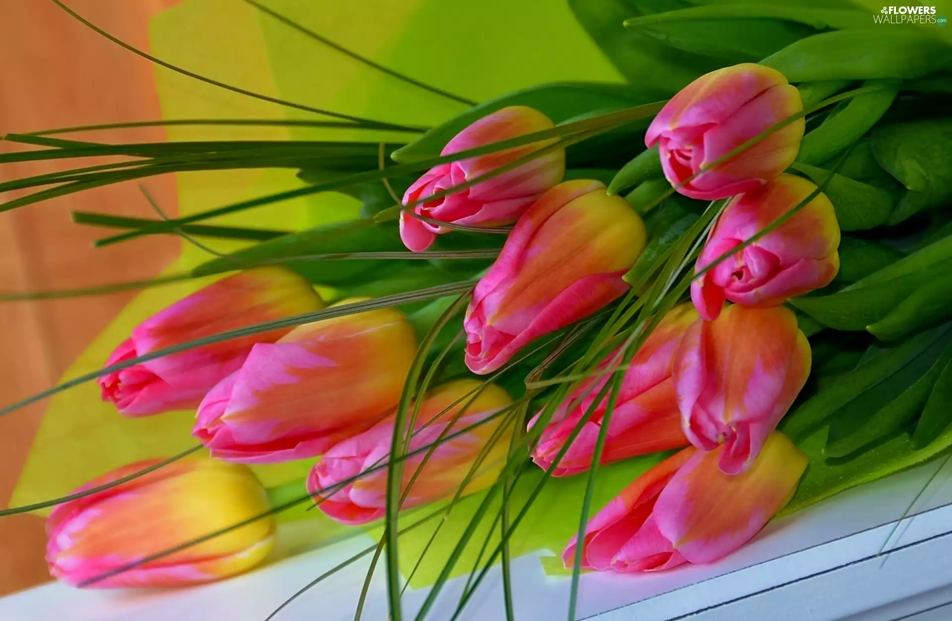 Tulips, bouquet