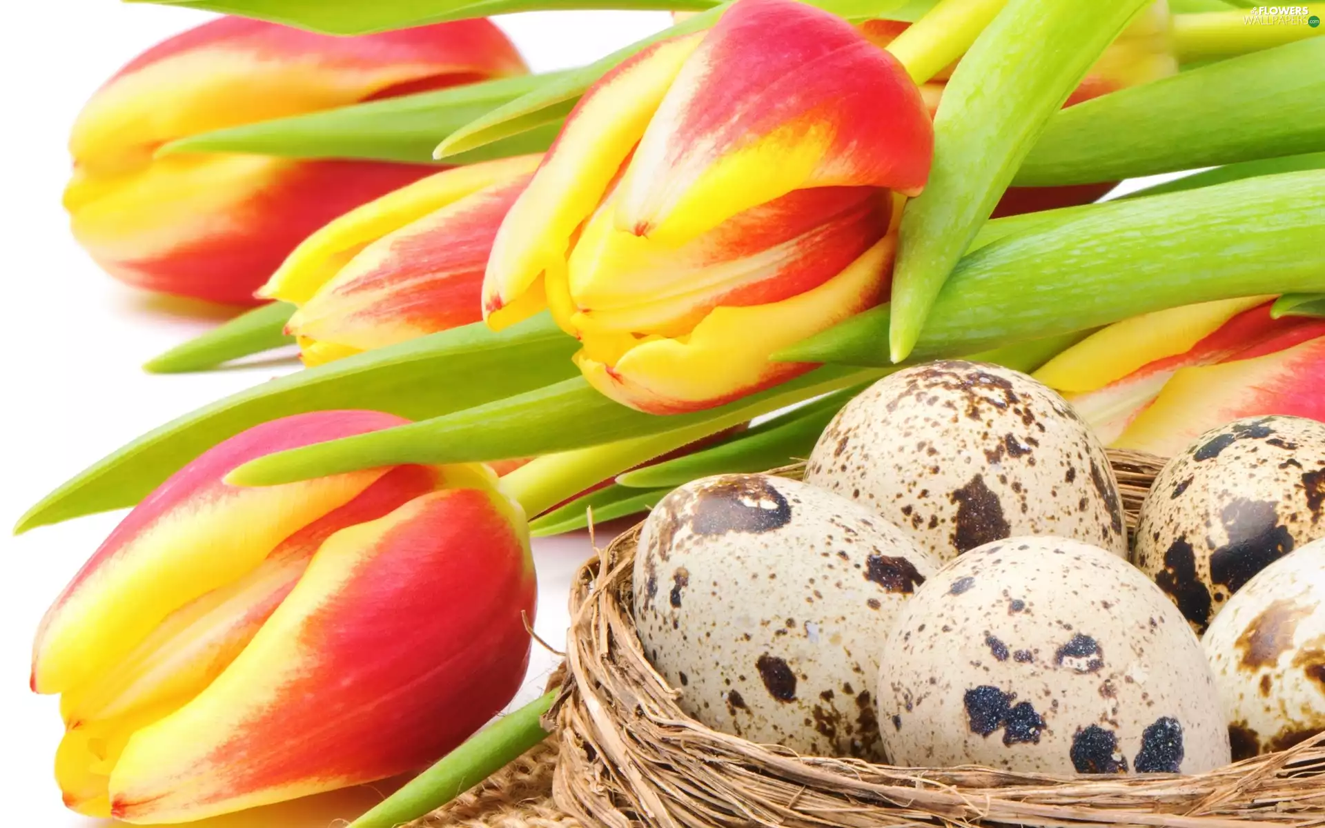 bouquet, eggs, basket, tulips