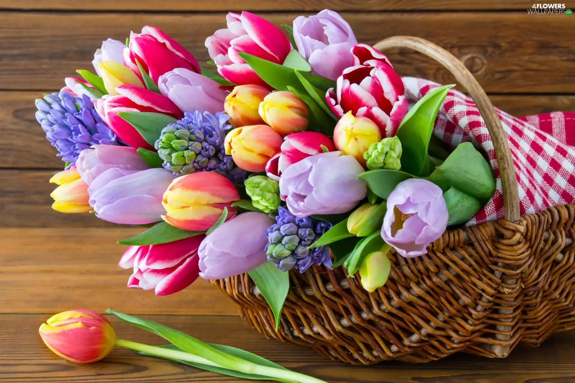 bouquet, basket, Bench, tulips