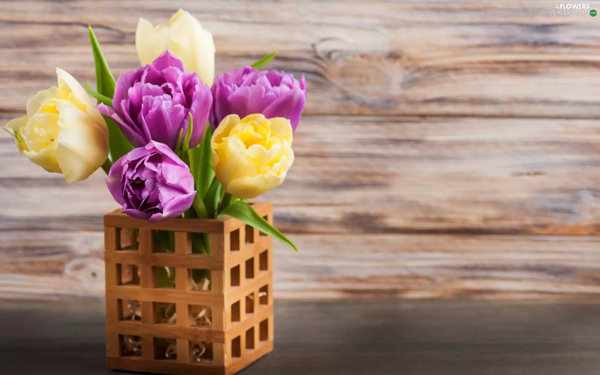 bouquet, wooden, container, Tulips