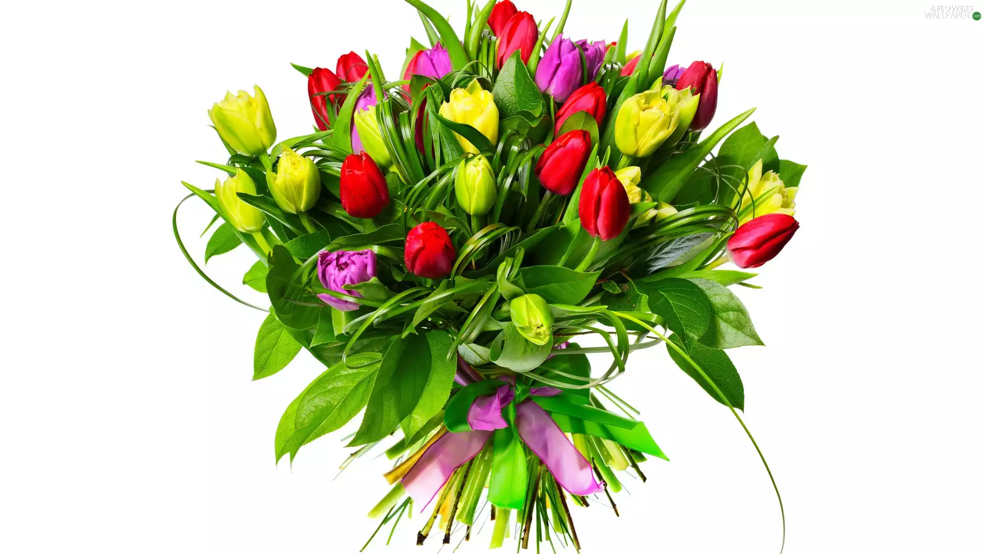 Tulips, Flowers, bouquet