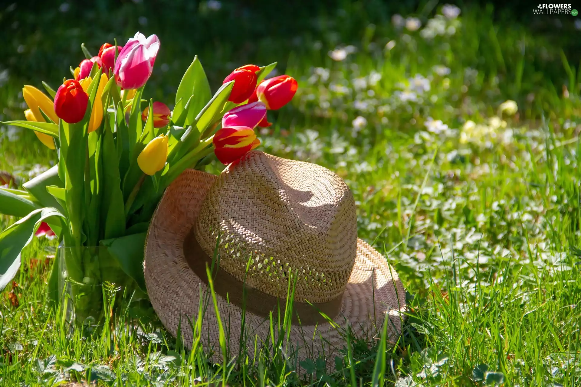 bouquet, Hat, Meadow, Tulips