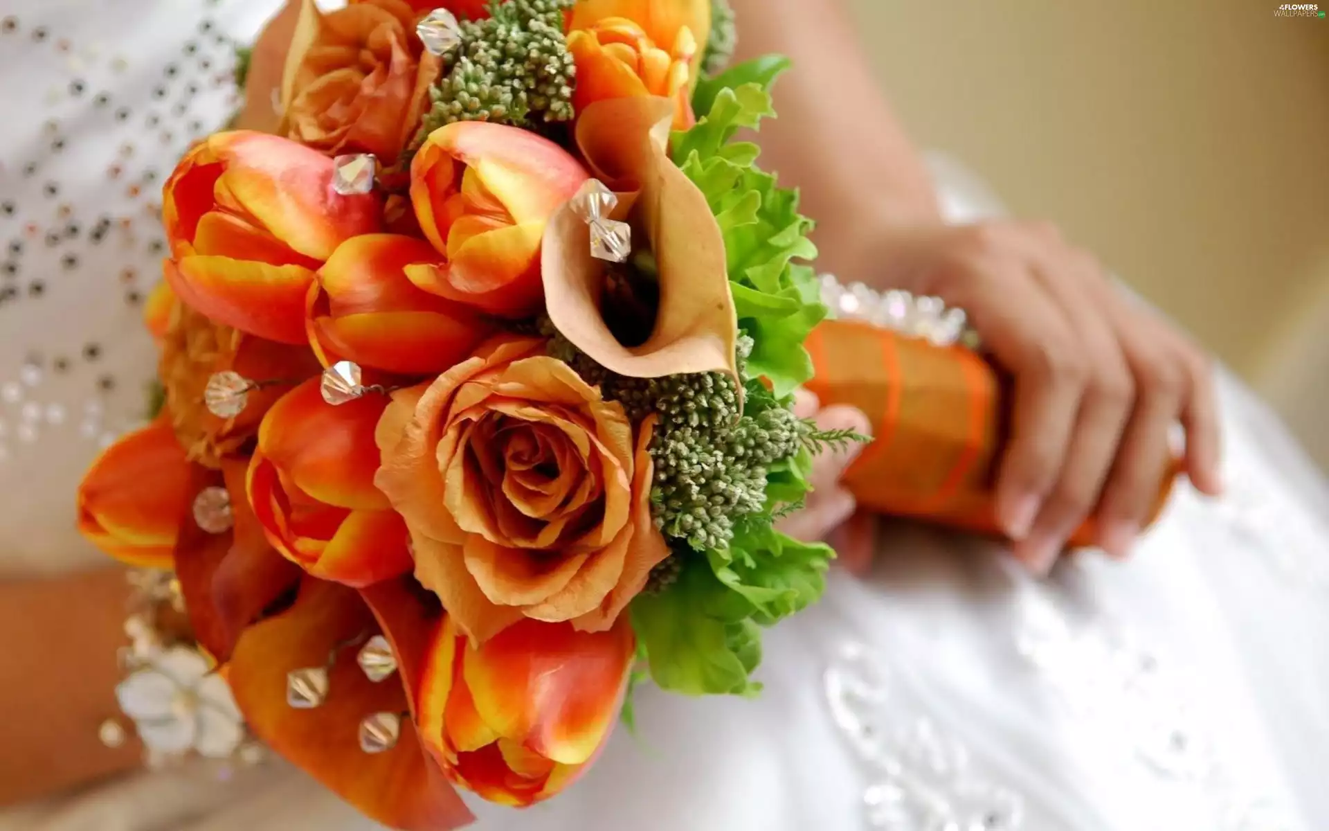 Tulips, wedded, bouquet