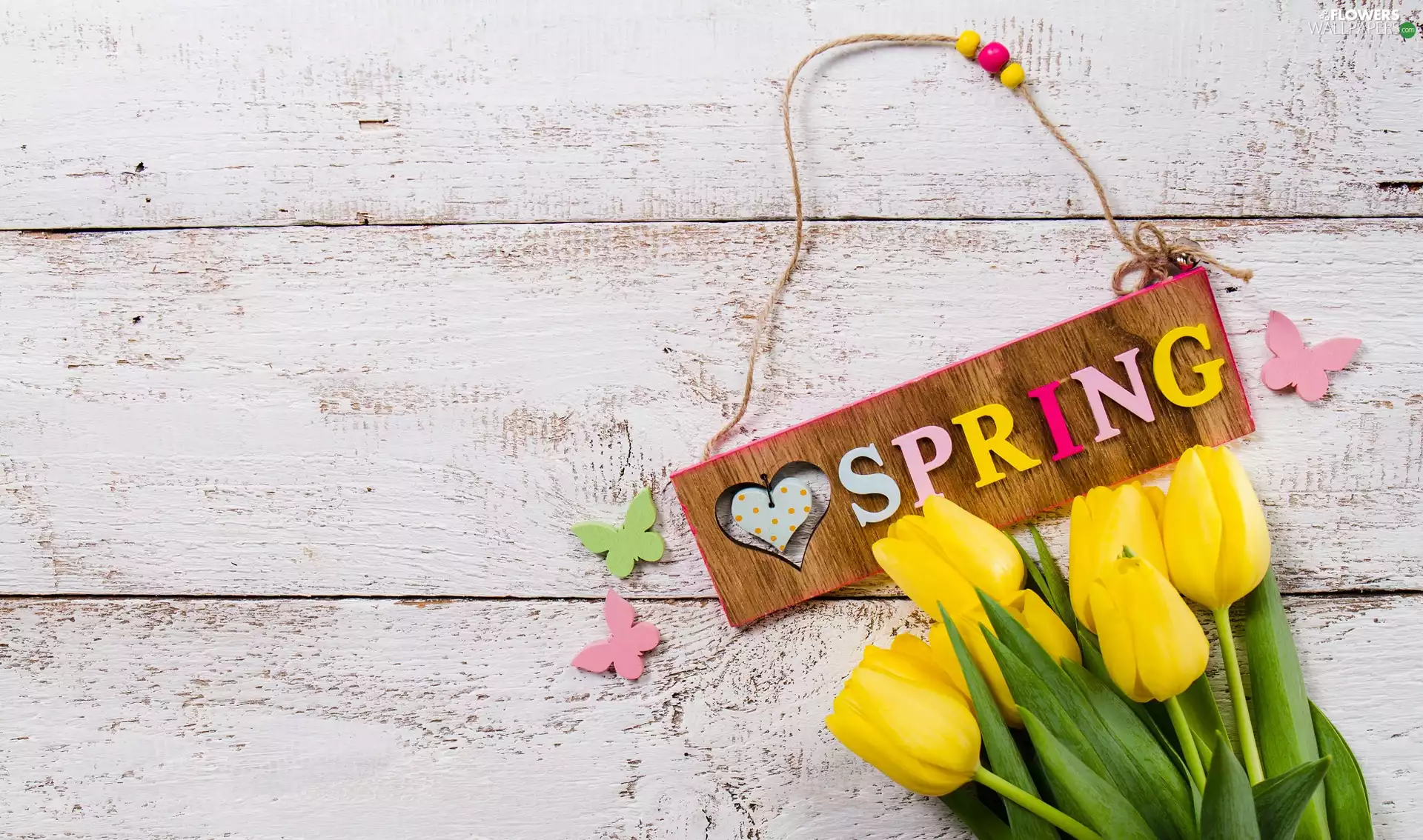 plate, bouquet, butterfly, Tulips, Spring, text, boarding