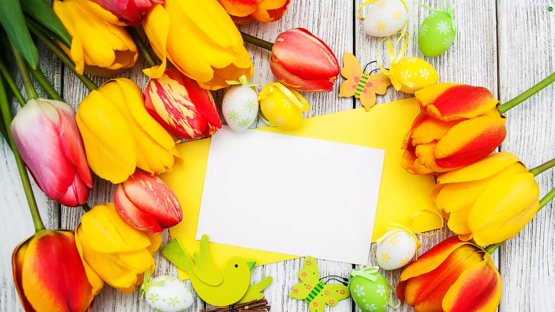 birdies, eggs, card, Tulips, Easter, butterfly, boarding