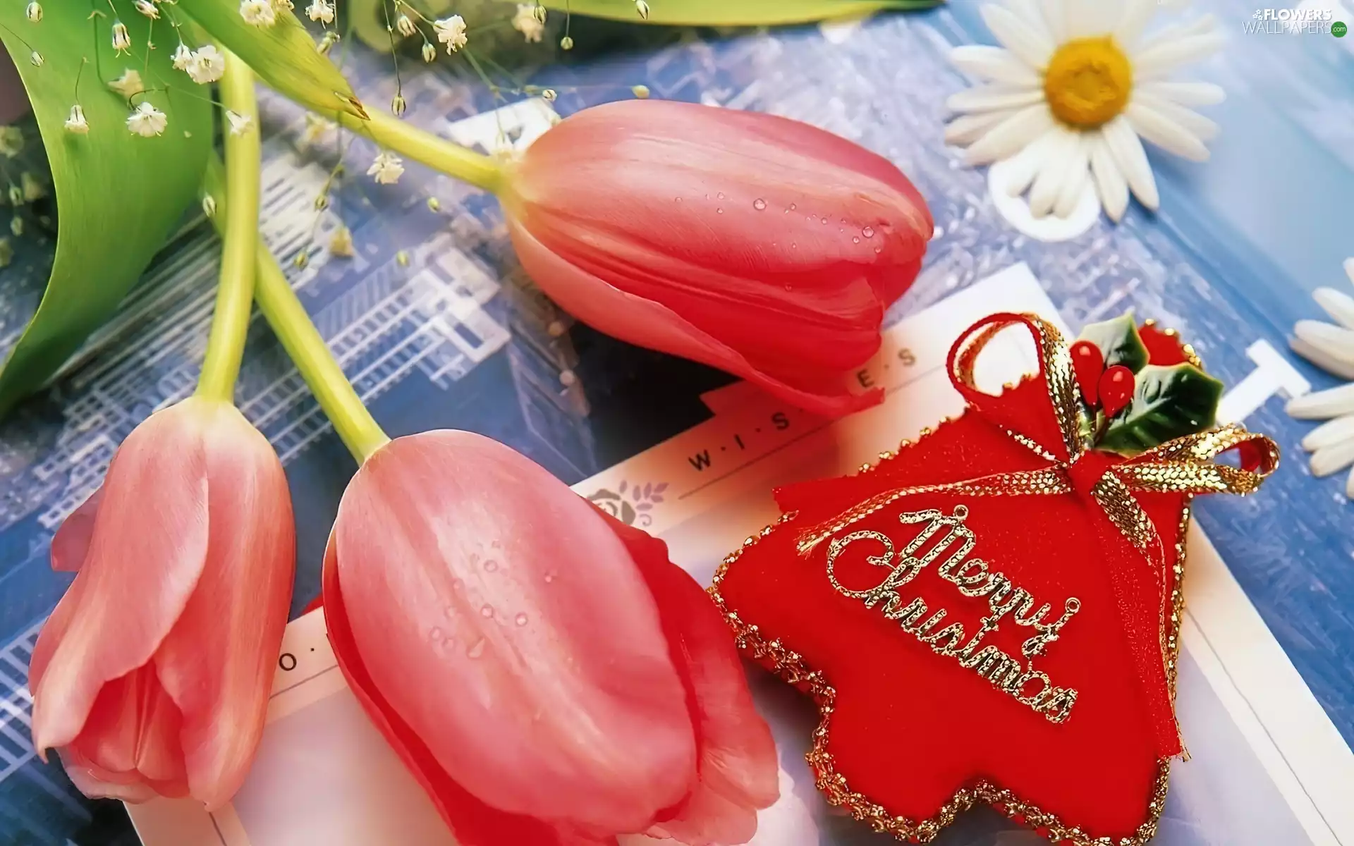 Tulips, decoration, Christmas