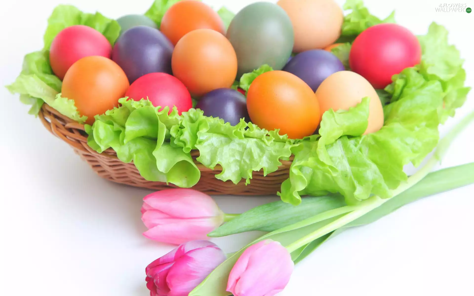 lettuce, Tulips, color, eggs, basket
