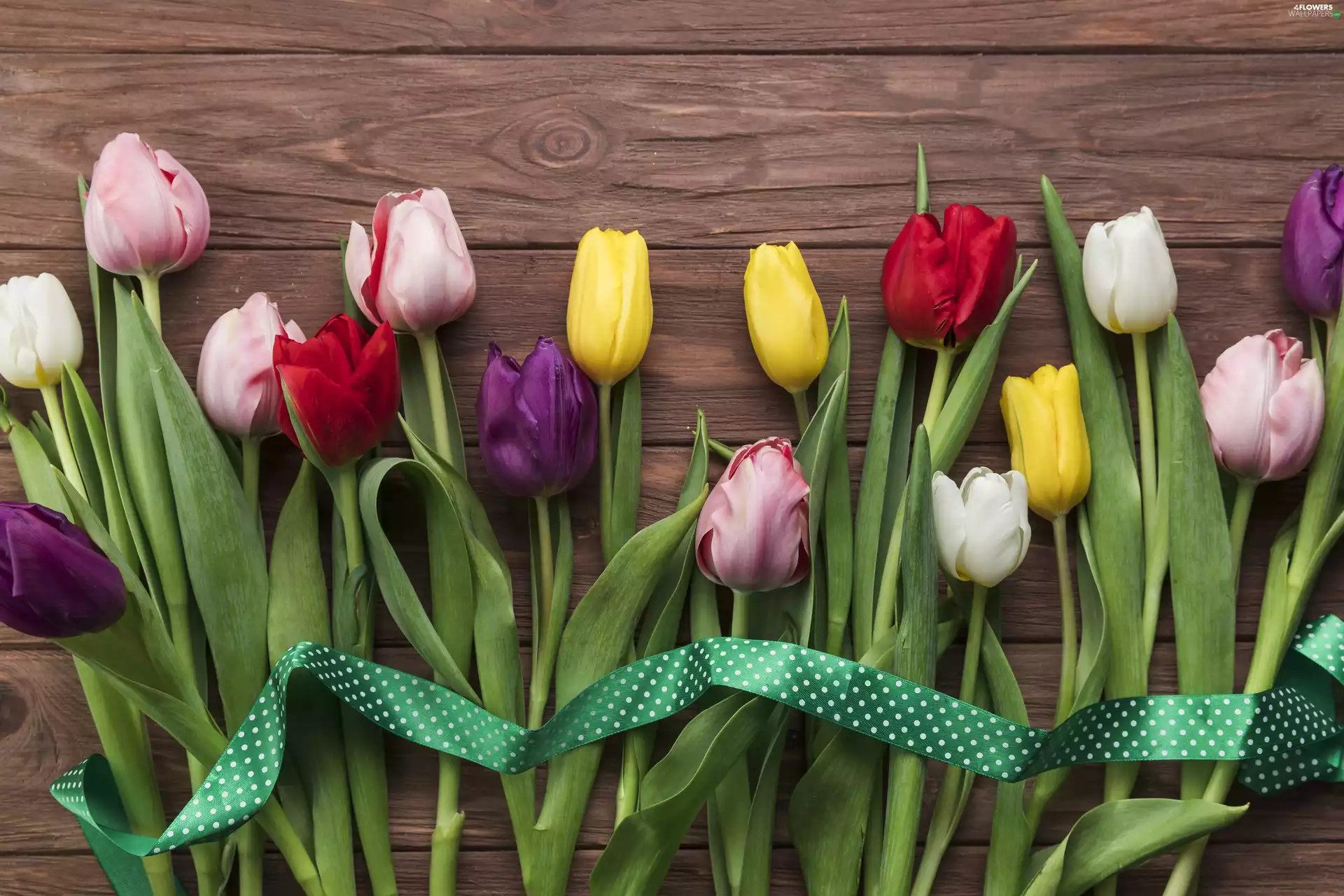 color, ribbon, boarding, Tulips
