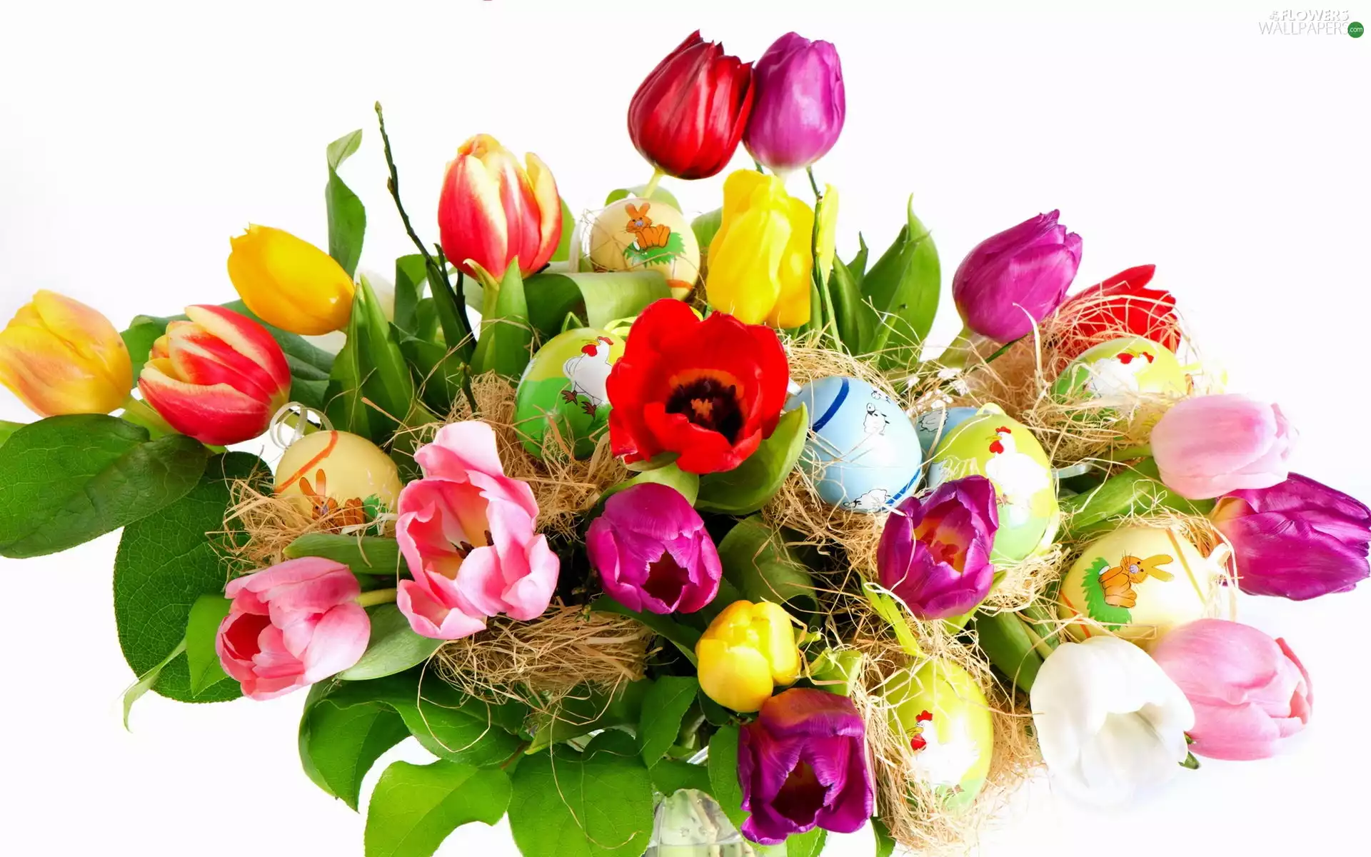 color, eggs, Easter, Tulips