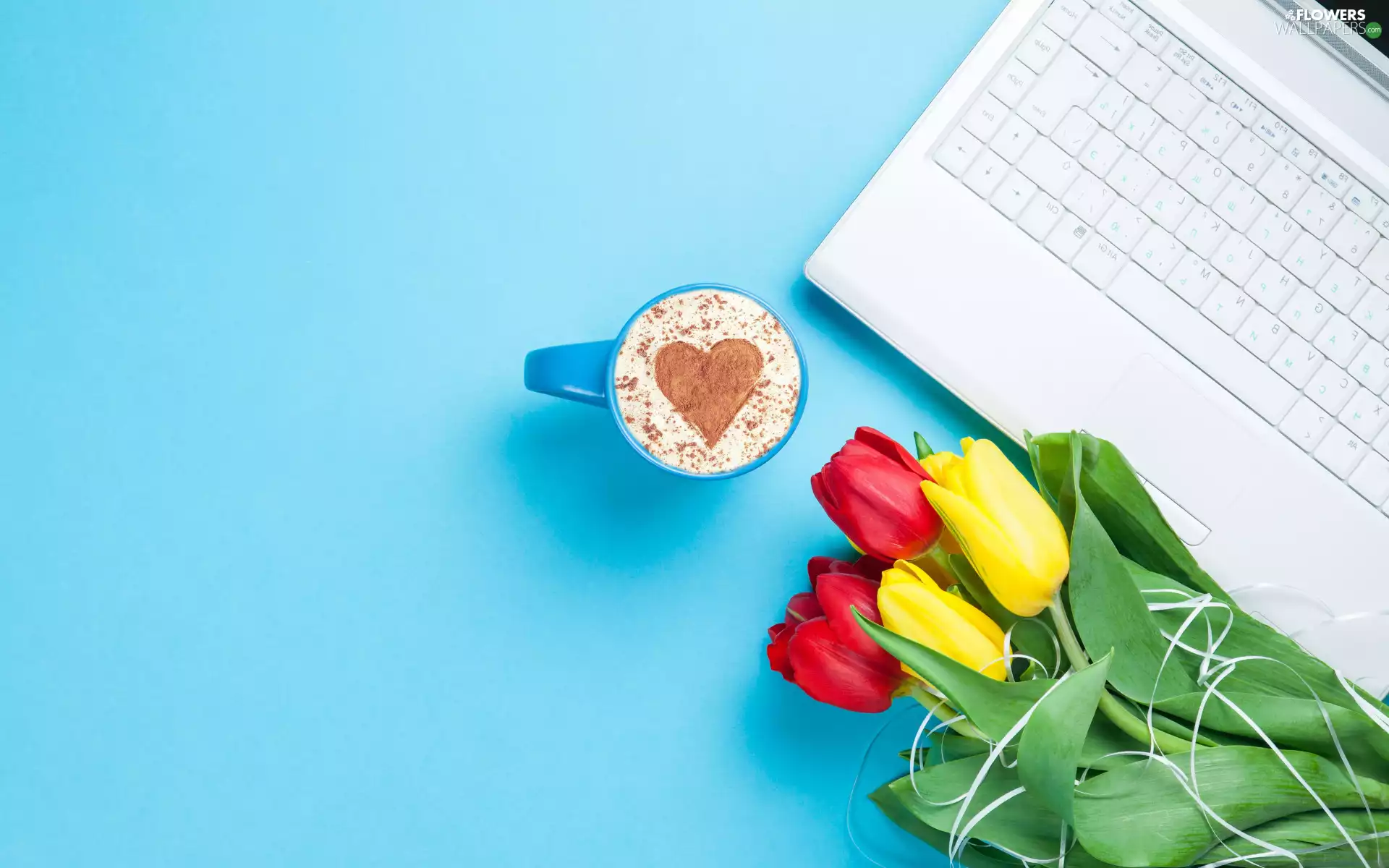 Tulips, cup, blue background, coffee, laptop, color, Flowers, Heart