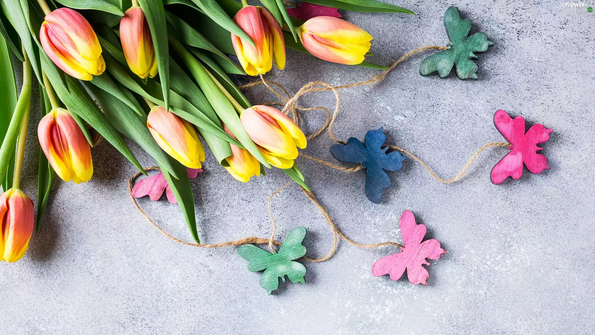 color, butterflies, pendants, Tulips