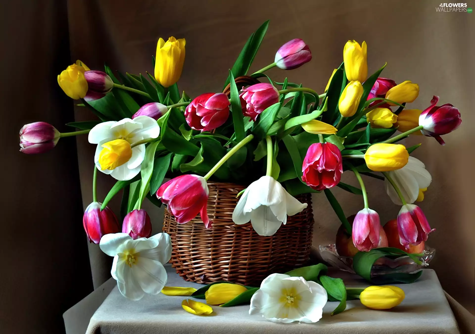 color, basket, Table, Tulips