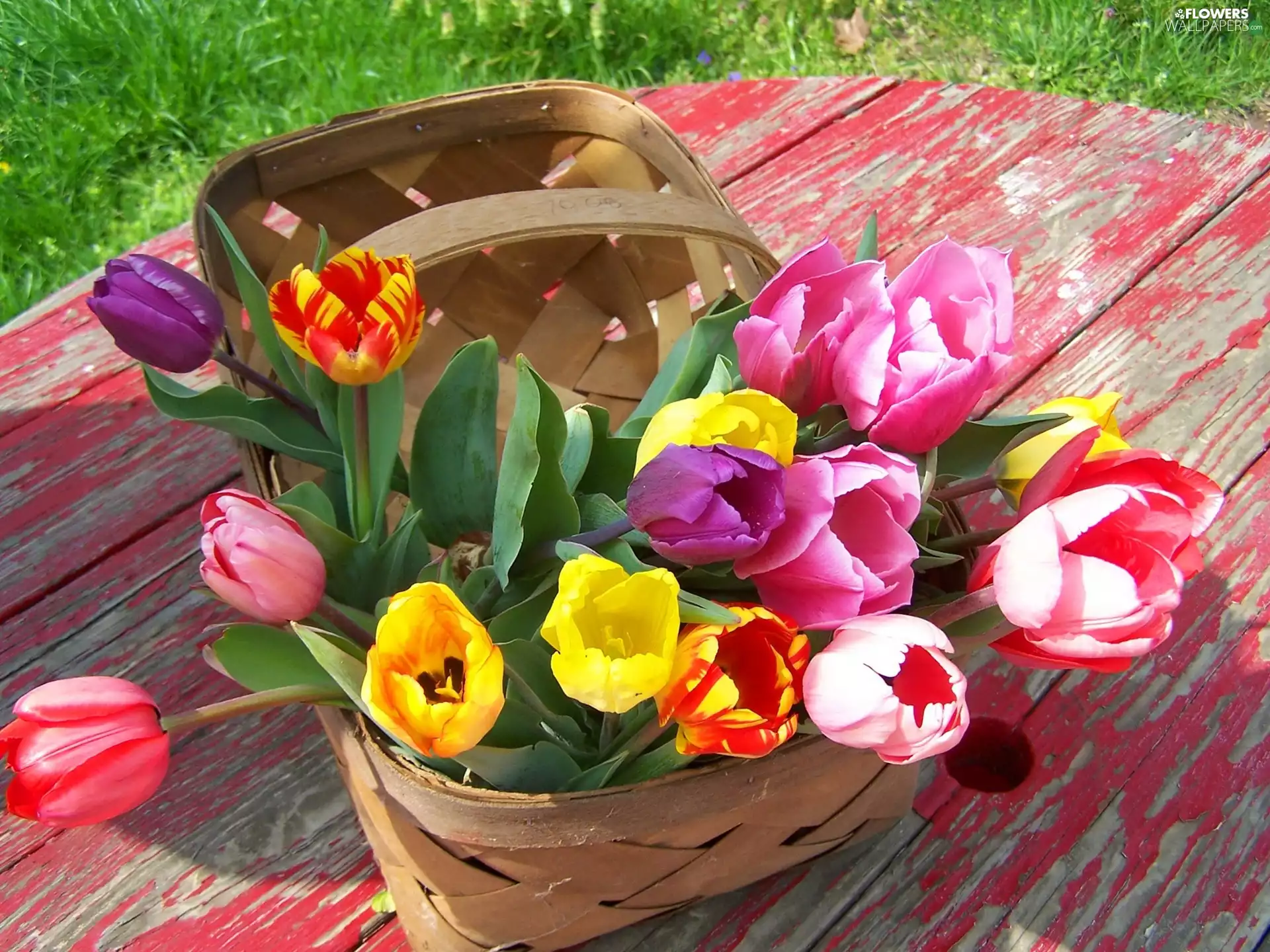color, basket, Table, Tulips