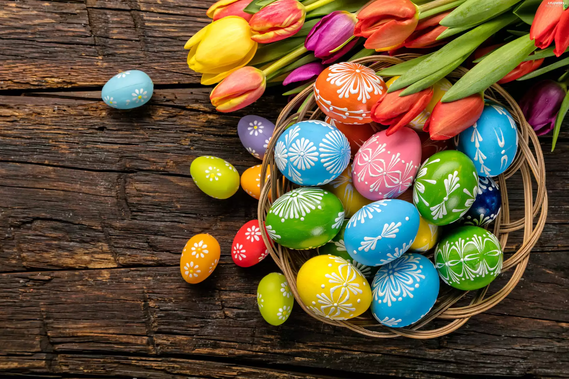 composition, Easter, Tulips, eggs