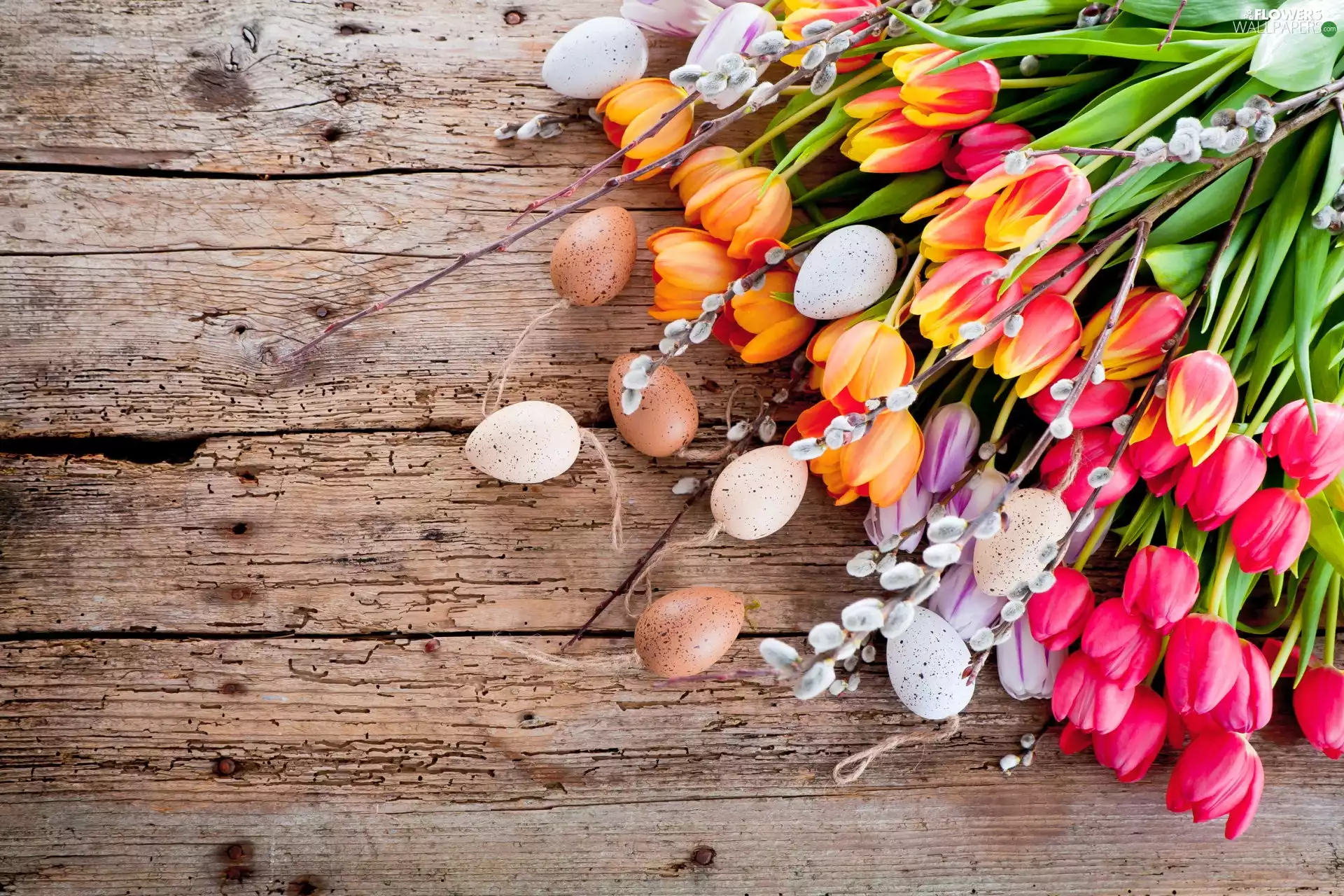 Tulips, database, Easter, eggs, composition