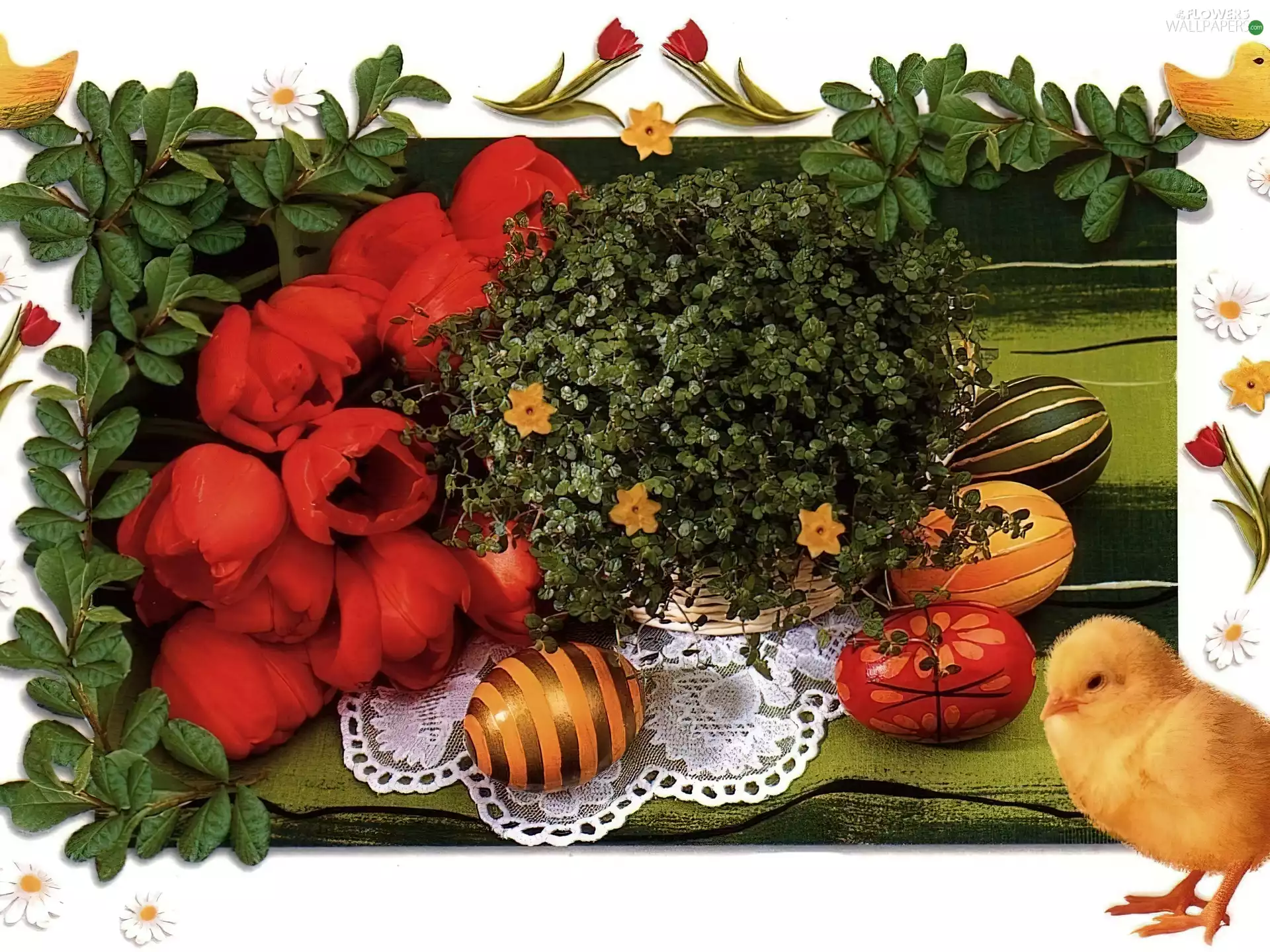 Easter, eggs, chicken, Tulips