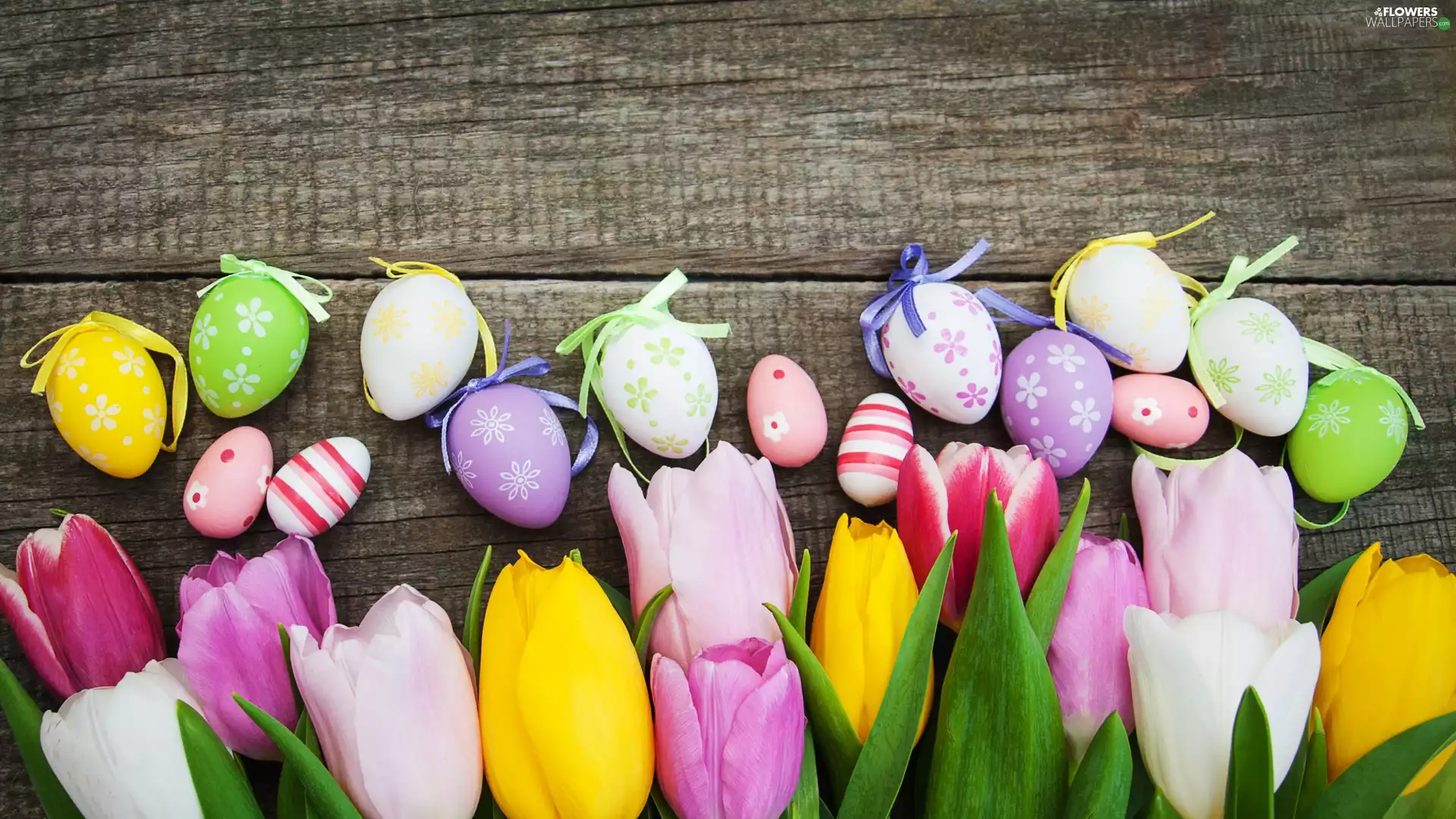 Easter, eggs, eggs, Tulips