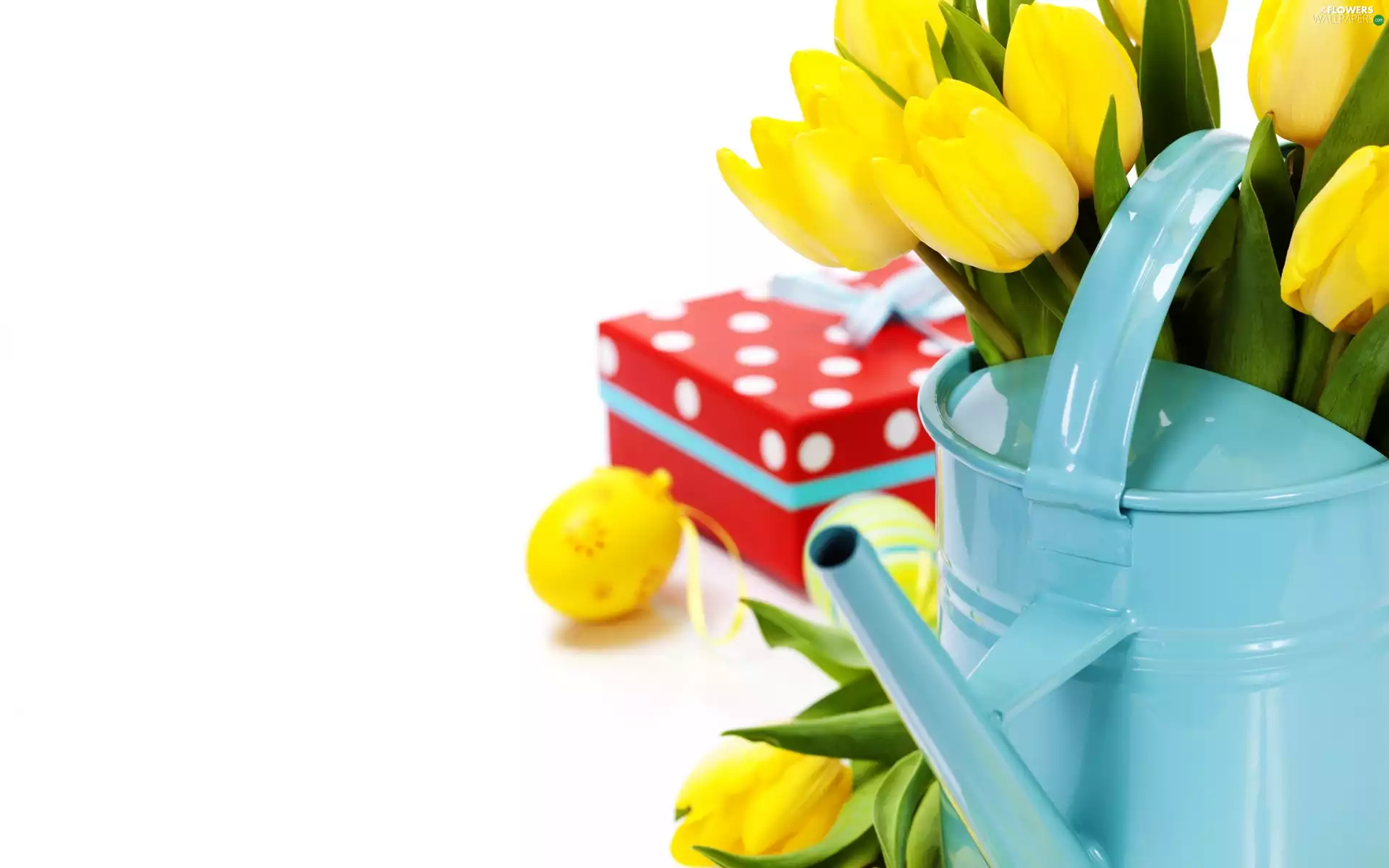 Easter, Yellow, Tulips, eggs