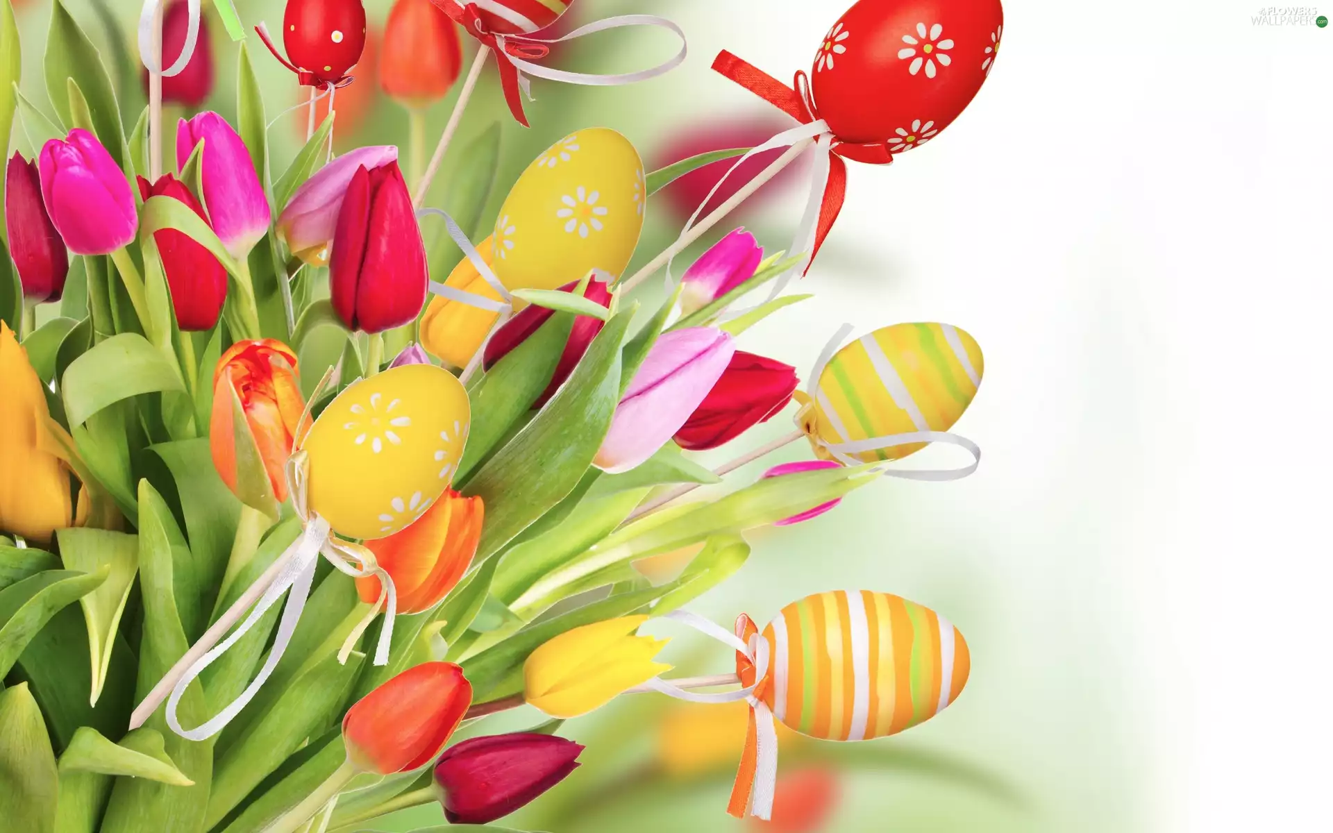 Tulips, Easter, eggs