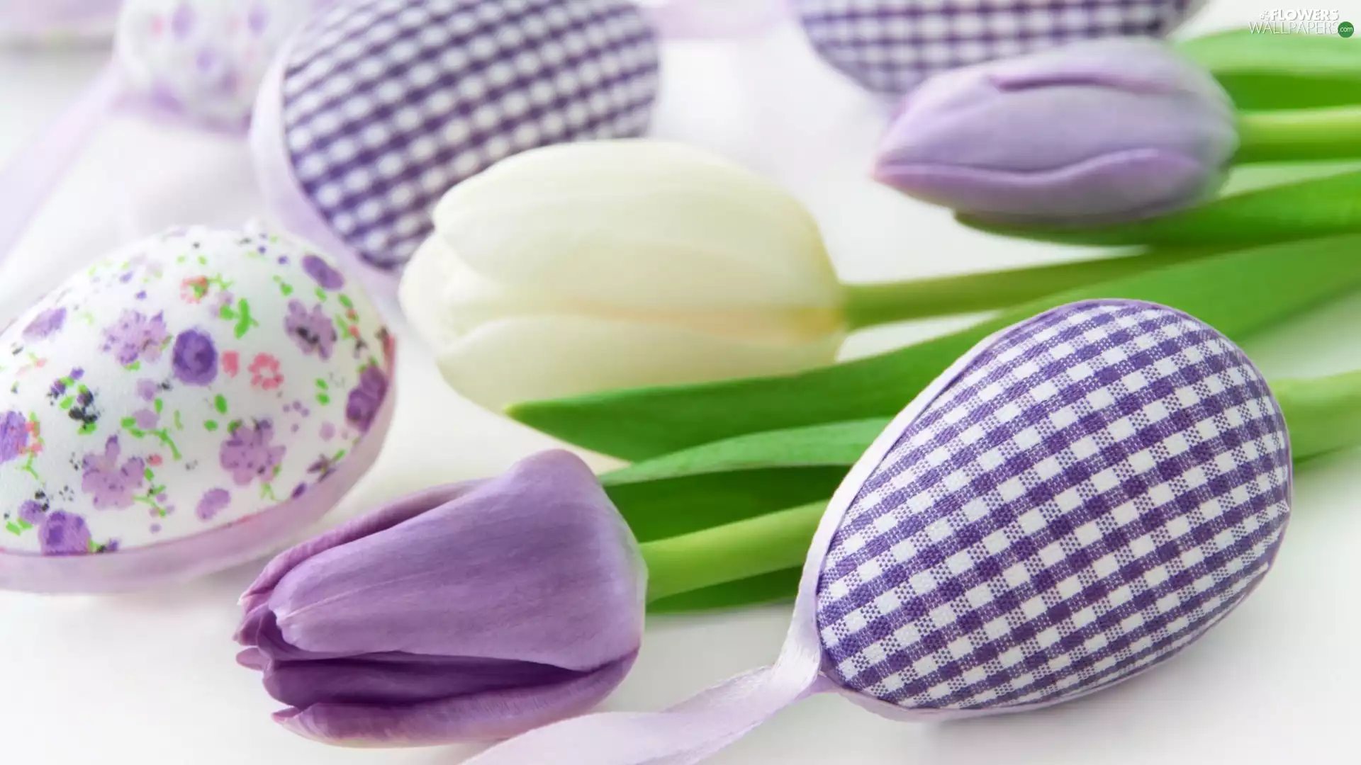 Tulips, Easter, eggs