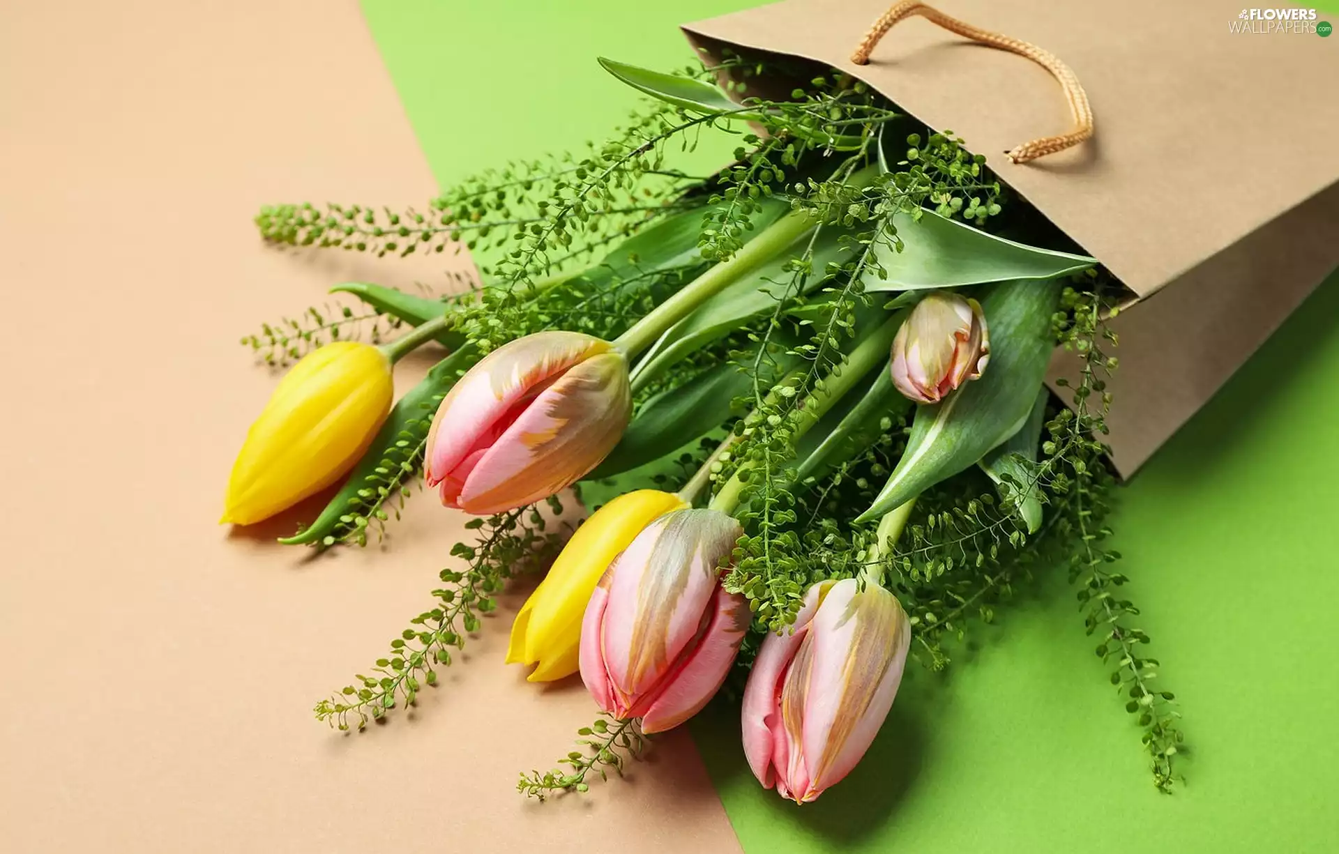 Flowers, paper, bag, Tulips