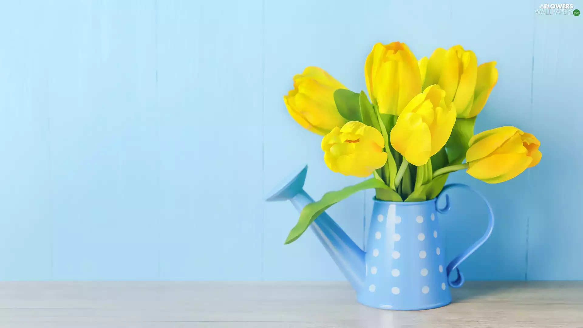 bouquet, Blue, Flowers, Tulips, Yellow, watering can