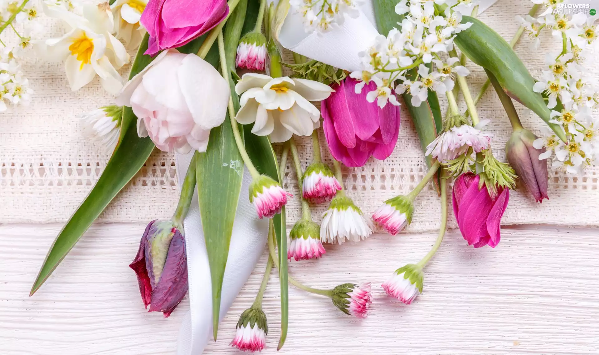 Flowers, daisies, bouquet, Tulips